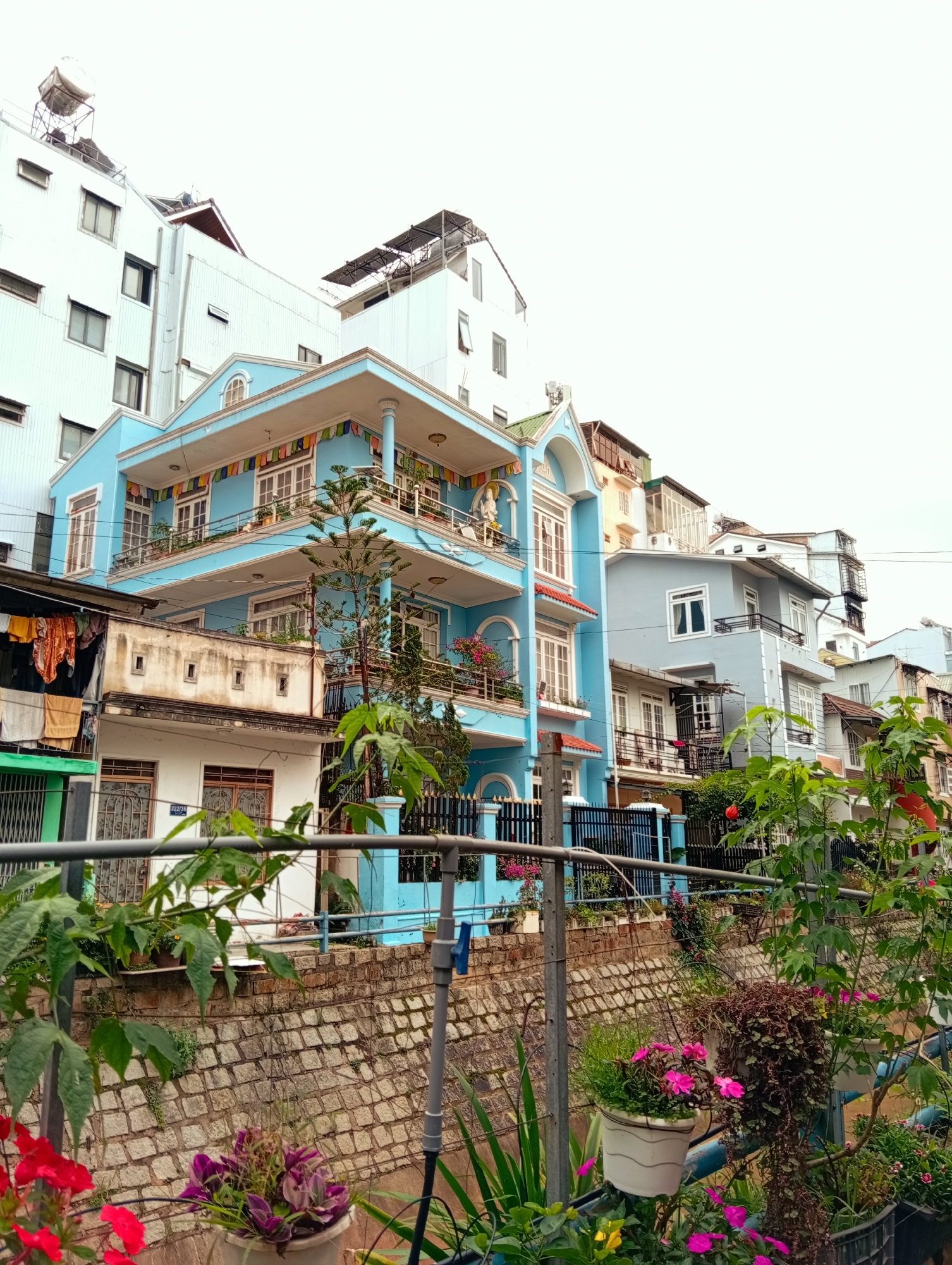 This image presents a vibrant urban landscape in Da Lat, Vietnam, characterized by densely packed, multi-story residential buildings and lush foreground vegetation under an overcast sky.
In the foreground, a variety of green plants and potted flowers, including vivid red, pink, and purple blooms, create a natural screen. A grey metal railing spans the lower part of the frame, behind which a textured stone retaining wall is visible.
The midground and background are dominated by an array of houses. The most prominent is a striking three-story building painted bright sky-blue, featuring ornate white balconies adorned with strings of colorful prayer flags. This blue house showcases large windows, a decorative arched façade on its upper level, and smaller trees growing on its balconies. To its left, a more rustic, older white building with exposed concrete and laundry hanging from a line contrasts with the brighter, more modern structures. On this white building, a small blue plaque with the numbers "222/36" is visible.
Further along to the right, other multi-story houses are visible in various shades of grey, white, and cream, some featuring dark-railed balconies and architectural details. Several rooftops show visible water tanks or solar panels. The close proximity and varying styles of the buildings suggest a lively urban residential area. While no people are directly visible, the hanging laundry and potted plants imply active daily life. The scene conveys a sense of a lived-in, colorful, and bustling environment.