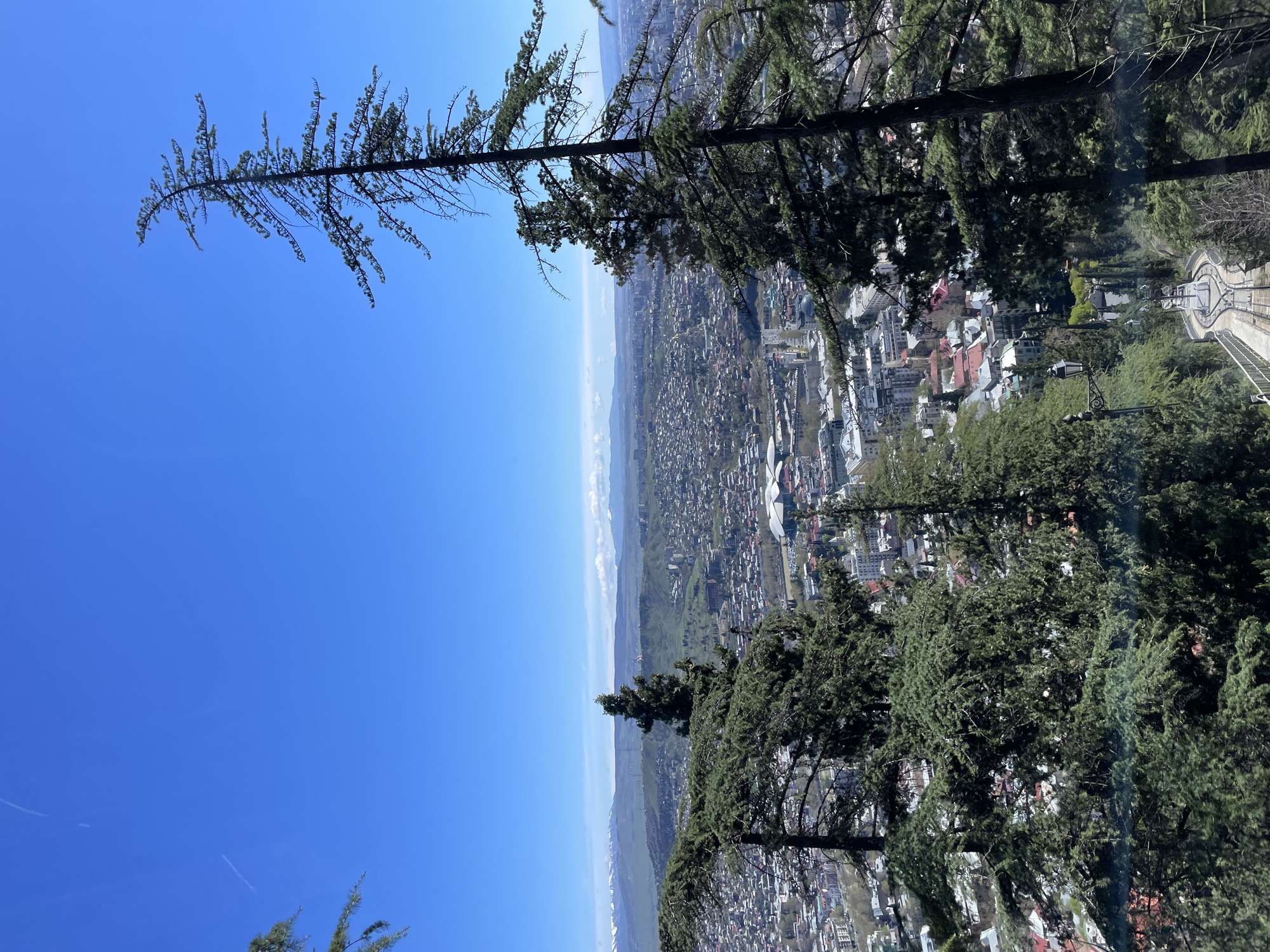 From a high vantage point in Tbilisi, Georgia, a cityscape unfolds beneath a clear blue sky. Tall, slender trees frame the view. The city sprawls in the distance, showcasing a mix of buildings and green spaces.