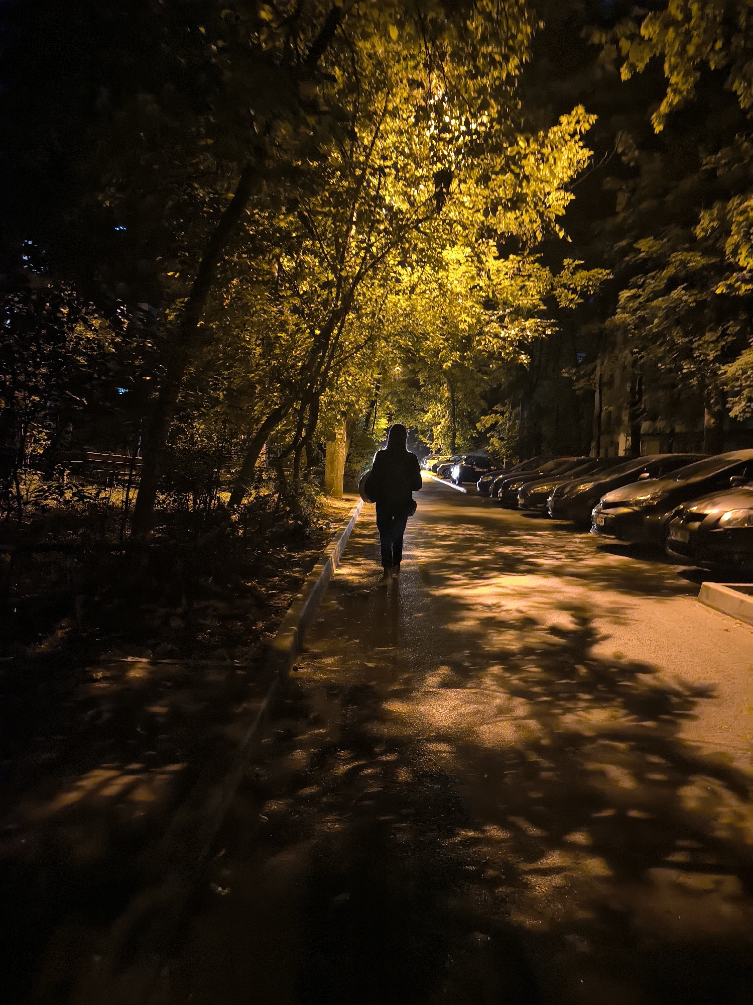 The image depicts a nighttime scene on a tree-lined street in Chișinău, Moldova. A person, silhouetted against the warm glow of streetlights filtering through autumn leaves, walks away from the camera down a wet asphalt sidewalk. The street is lined with parked cars on the right, their surfaces reflecting the ambient light. Shadows of the trees are cast across the wet ground, creating a dappled effect. The overall atmosphere is one of quiet solitude.
