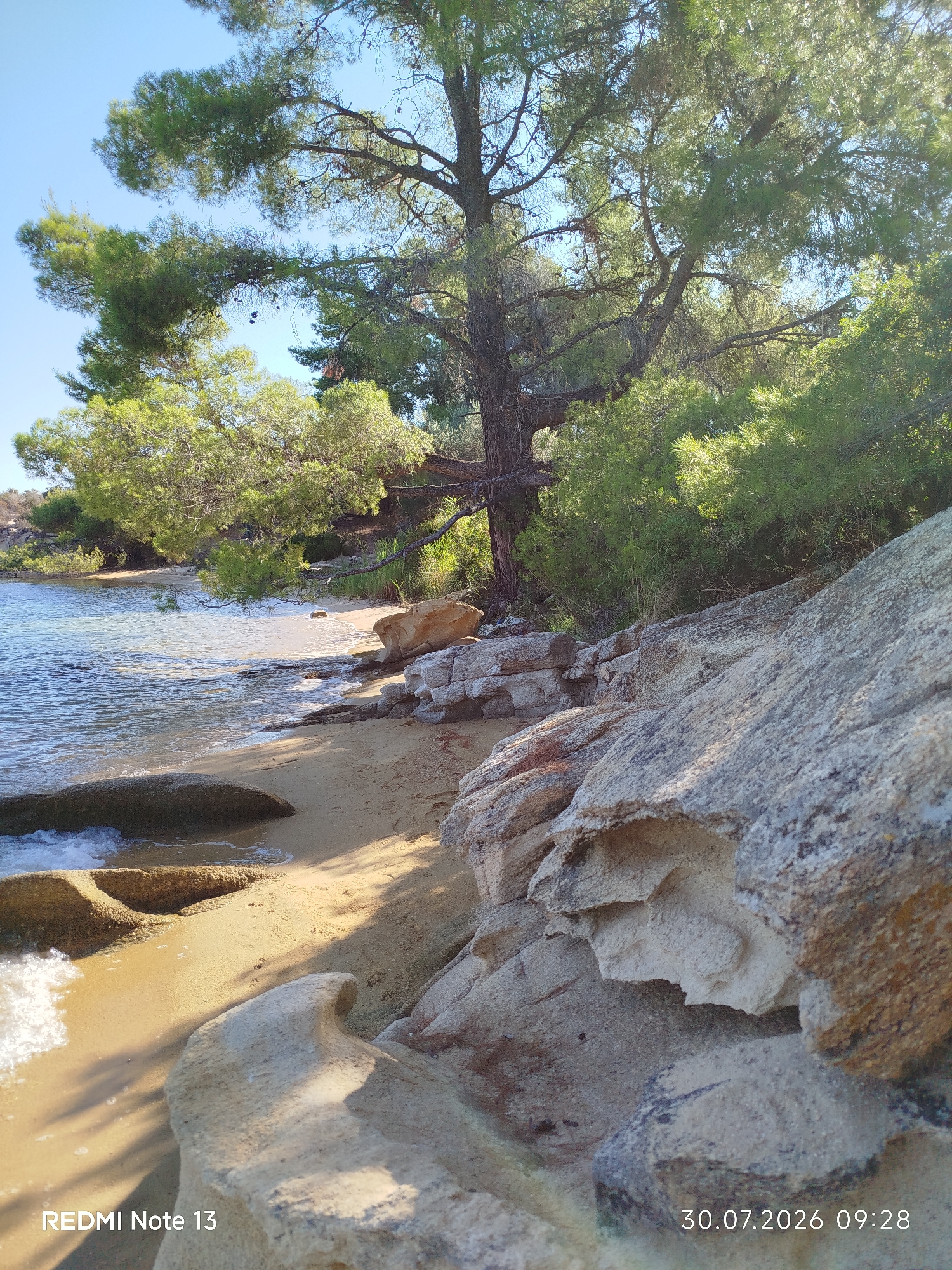 The image depicts a tranquil beach scene in Sithonia, Greece. In the foreground, large, weathered rocks with textured surfaces are prominent, casting shadows on the sandy shore. The gentle waves of the clear blue sea lap at the sand, creating a foamy edge. A narrow strip of sand leads to the water's edge, interspersed with smaller rocks and smoothed stones. Lush green trees and foliage dominate the background, with a large tree in the center casting dappled shade across the scene. The sky is a clear, bright blue. The overall impression is one of a secluded and natural coastal environment.