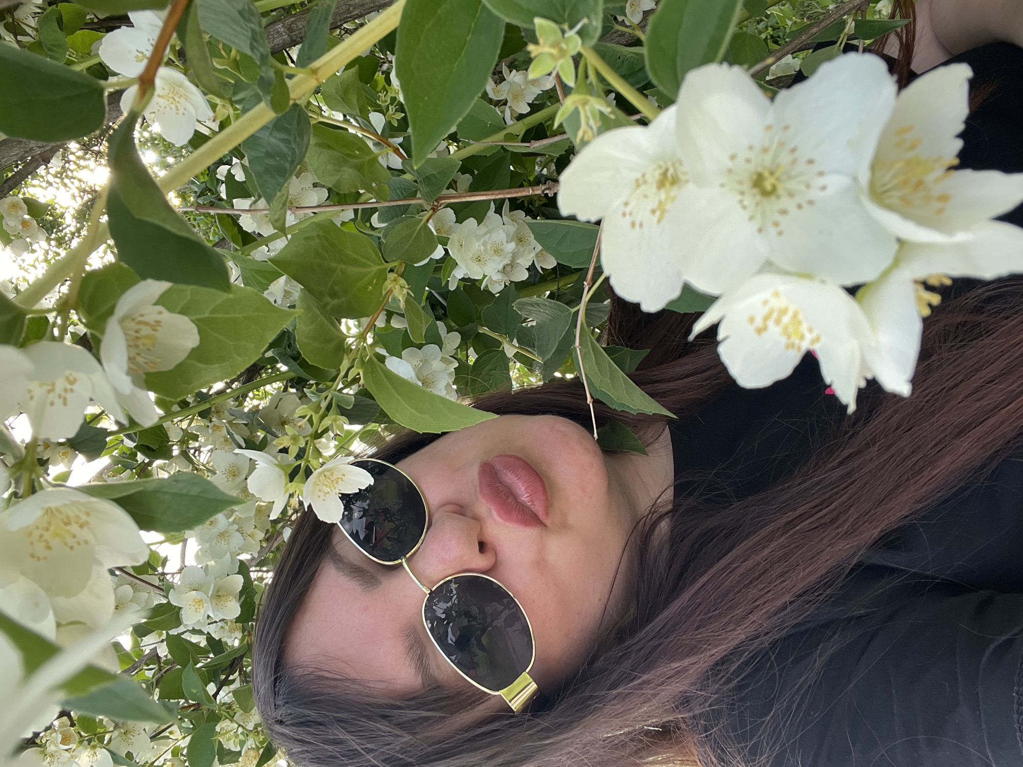 The image is a selfie taken outdoors, likely in Noviy, Russia, amidst abundant white jasmine blossoms. A woman with long, dark brown hair and fair skin is the primary subject. She is wearing sunglasses with thin gold frames and a black t-shirt. Her lips are slightly pursed, and she is positioned close to the camera, with the jasmine flowers framing her face and the lower part of the image. The background is filled with green leaves and the white flowers, with some sunlight filtering through, suggesting it's daytime. The overall impression is a candid, intimate portrait capturing a moment in nature.