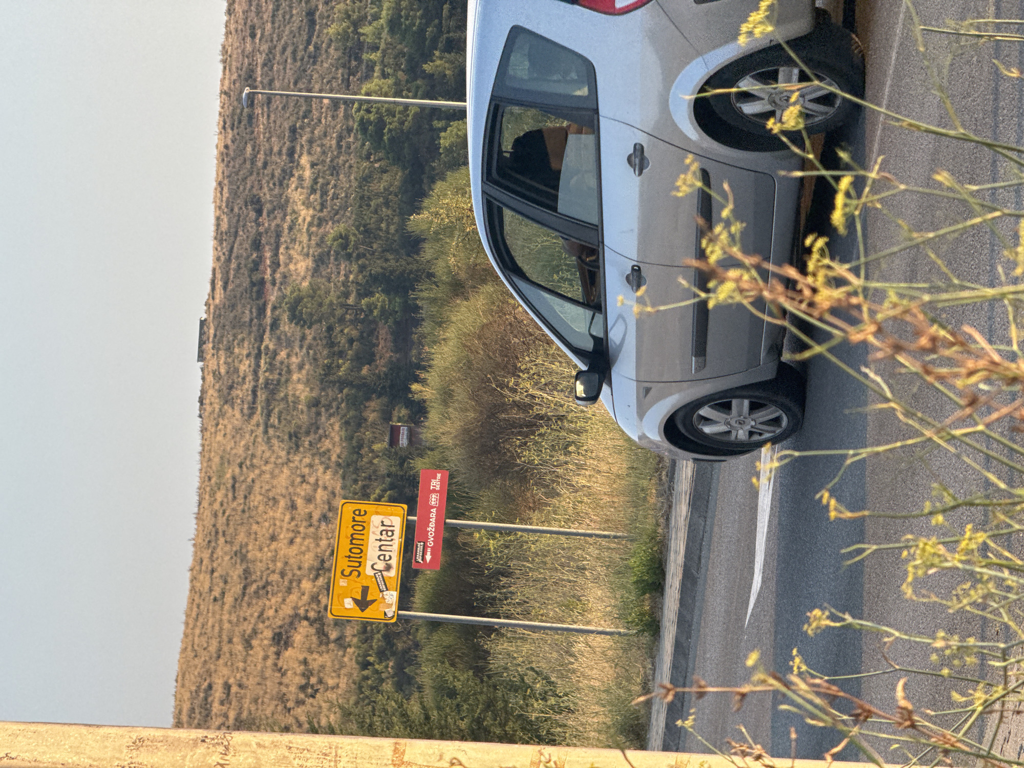 A silver minivan is parked on the side of a road in Sutomore, Montenegro. The minivan is facing right and has its front driver-side wheel turned towards the camera. The windows are tinted, and the driver is partially visible. The road has a white directional arrow painted on it.
In the background, a yellow directional sign points to the left with the text "Sutomore Centar". Below it, a red sign has arrows pointing left and the text "OVOZADARA TRI CESTRE". The terrain behind the signs is dry, grassy, and hilly, with some scattered trees and bushes. A street light is visible on the right side of the frame. In the foreground, out-of-focus dry branches and yellow wildflowers obscure part of the scene. The sky is clear and pale blue.