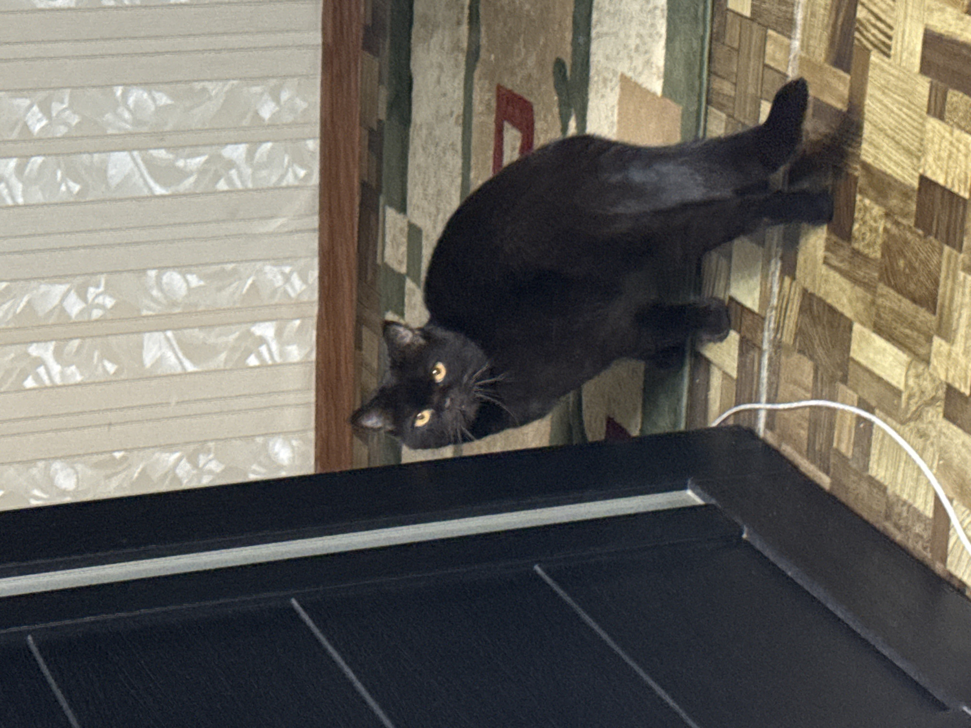 The image, taken in Naberezhnye Chelny, Russia, captures a black cat in an indoor setting. The cat is the central subject, stretched out horizontally across the frame. Its sleek, black fur contrasts with its striking, bright golden-yellow eyes, which are wide open and looking directly at the viewer with an alert and curious expression.
The cat is positioned on a surface with a detailed, mosaic-like geometric pattern in various shades of brown, beige, and some muted green. This surface appears to be a floor or a large patterned rug. A thin white cable snakes across this patterned surface on the right side of the image, disappearing out of frame.
To the left of the cat, running vertically, is another surface characterized by horizontal light-colored stripes and a subtle, textured, possibly floral or abstract pattern within the stripes. This could be a window blind, a patterned wall, or a textured panel.
In the foreground, occupying the bottom and left portion of the image, is a dark, possibly black or very dark brown, flat surface. This surface has subtle horizontal grooves or panels, suggesting it is a piece of furniture like a table, desk, or countertop.
The lighting appears to be ambient indoor light, highlighting the cat's eyes and the textures of the various surfaces. The image is oriented sideways, making the cat appear to be lying on a vertical plane, though its natural posture suggests it's likely on a floor surface, looking upwards or at an angle. No text is visible in the image.