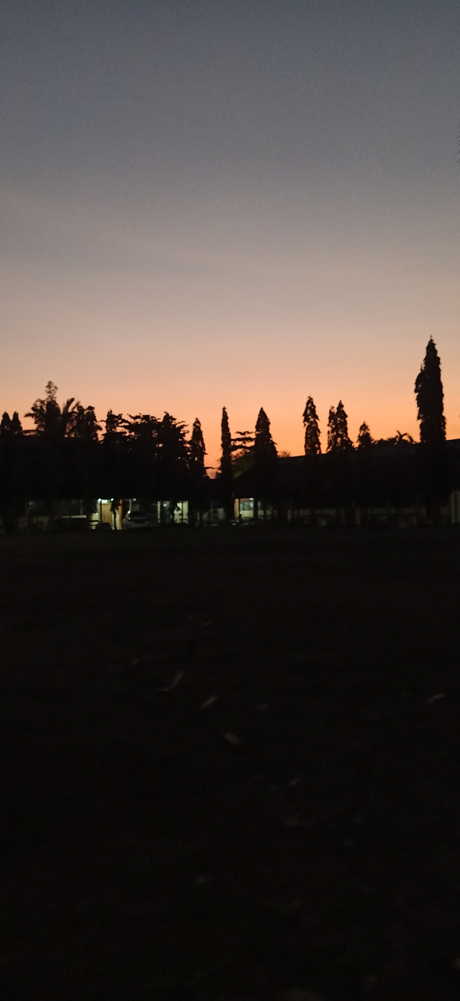 The image depicts a silhouetted landscape against a gradient sky transitioning from dark gray at the top to a warm orange hue near the horizon. A line of trees, some tall and conical and others more bushy, forms a dark silhouette in the middle ground, obscuring a row of buildings that appear to be illuminated from within. The foreground is a dark, indistinct area, possibly a field or ground cover. The scene is suggestive of dusk or dawn, with the dim lighting and silhouettes indicating low light conditions. The location is identified as Tambontunong, Indonesia, implying an outdoor setting within that area.