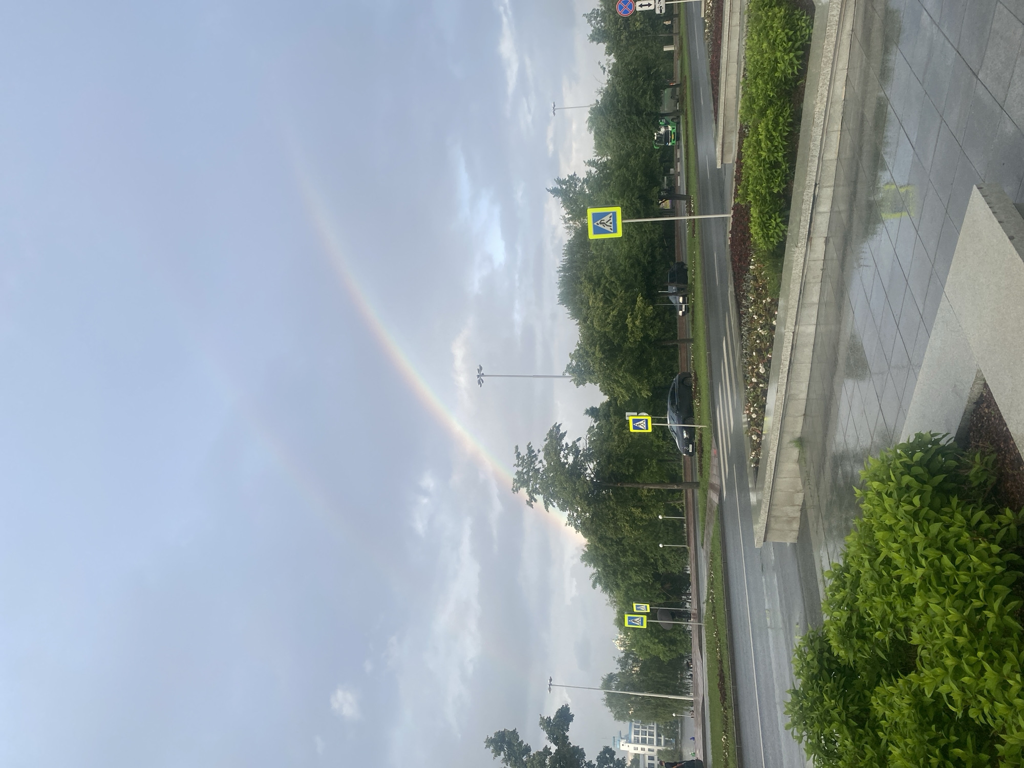 This image depicts an urban landscape in Yekaterinburg, Russia, characterized by an overcast sky featuring a double rainbow after rainfall. In the immediate foreground, a wet, grey tiled pavement reflects the sky. Adjacent to it, a raised concrete planter contains dense, wet green foliage. Beyond this, a multi-lane asphalt road, also wet and reflective, extends horizontally across the frame. White lane markings are visible on the road surface. A grassy median strip separates the traffic lanes and is dotted with green trees and bushes.
Multiple yellow square pedestrian crossing signs, each displaying a black pedestrian symbol, are prominently positioned along the median. Tall, multi-fixture streetlights are interspersed throughout the scene. On the far right, standard Russian road signage includes a "No Stopping" sign (red circle with a diagonal line on a blue background) and a "Two Way Traffic" sign (two vertical arrows).
The sky above is heavily clouded with light grey formations, through which a vibrant primary rainbow arches across the entire upper half of the image, from the left to the right horizon. A fainter, secondary rainbow is discernible above the primary arc, particularly on the left side.
Vehicles are present on the wet road: a dark sedan is visible on the right side, and a green utility vehicle or small truck is further back on the right. Another dark car is partially visible in the left lane. On the far left, behind a line of trees, a light-colored building with blue and white sections is partially visible near what appears to be a body of water or an open expanse, with a person partially obscured near the water's edge. Another individual, partially obscured by a tree and possibly holding an umbrella, stands on the sidewalk near a pedestrian crossing sign on the left side of the street. The overall environment suggests recent heavy rain, with wet surfaces and softened light.