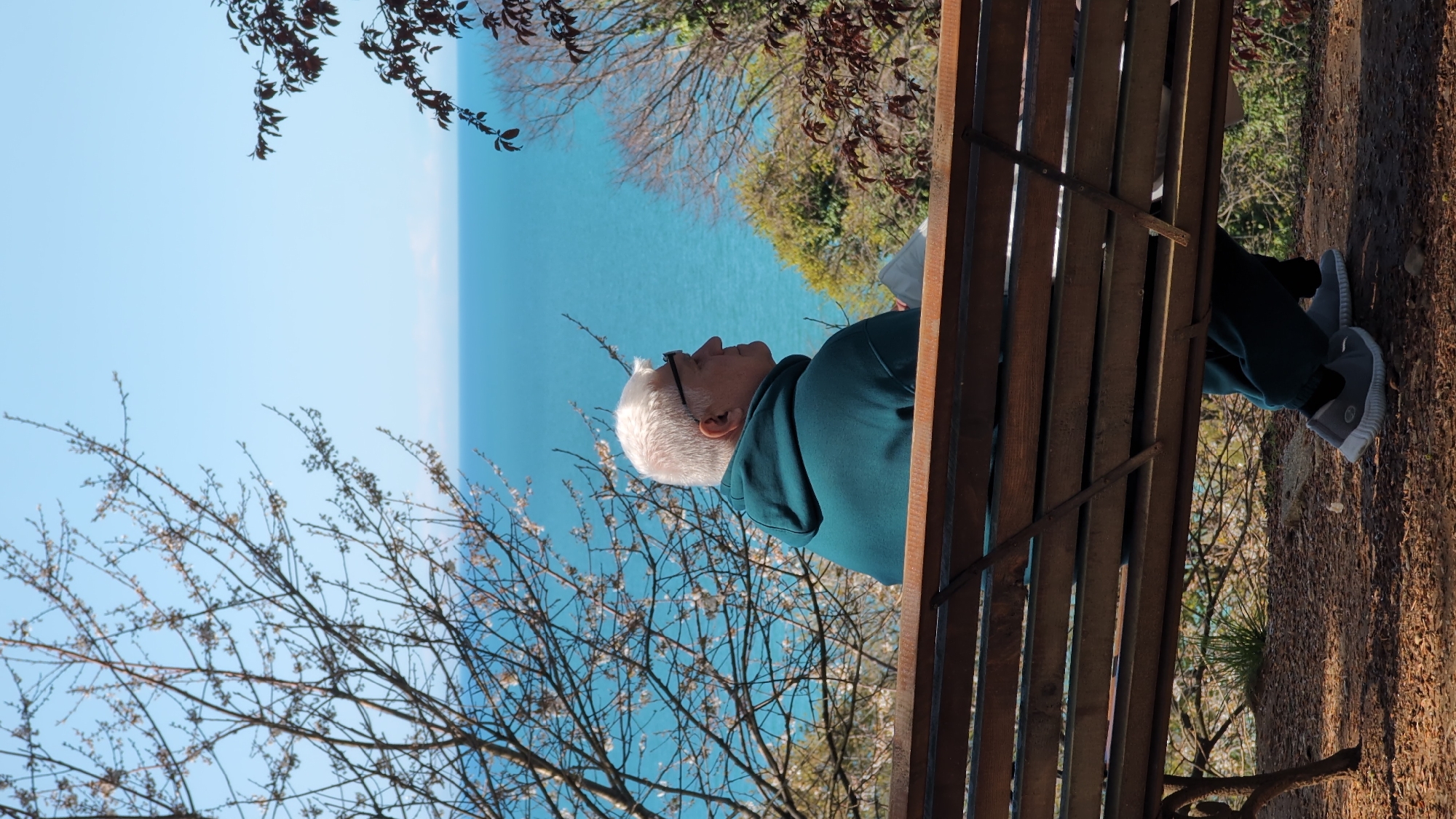 A mature man sits on a wooden bench, his head tilted upwards as he gazes towards the horizon where a turquoise sea meets a clear blue sky. The scene is framed by budding tree branches in the foreground. The bench is located on a path covered in brown leaves and vegetation, suggesting a park or garden setting. Based on the landscape and architecture, the image appears to be taken in Batumi, Georgia. The man is wearing glasses, a dark teal hoodie, and grey sneakers.