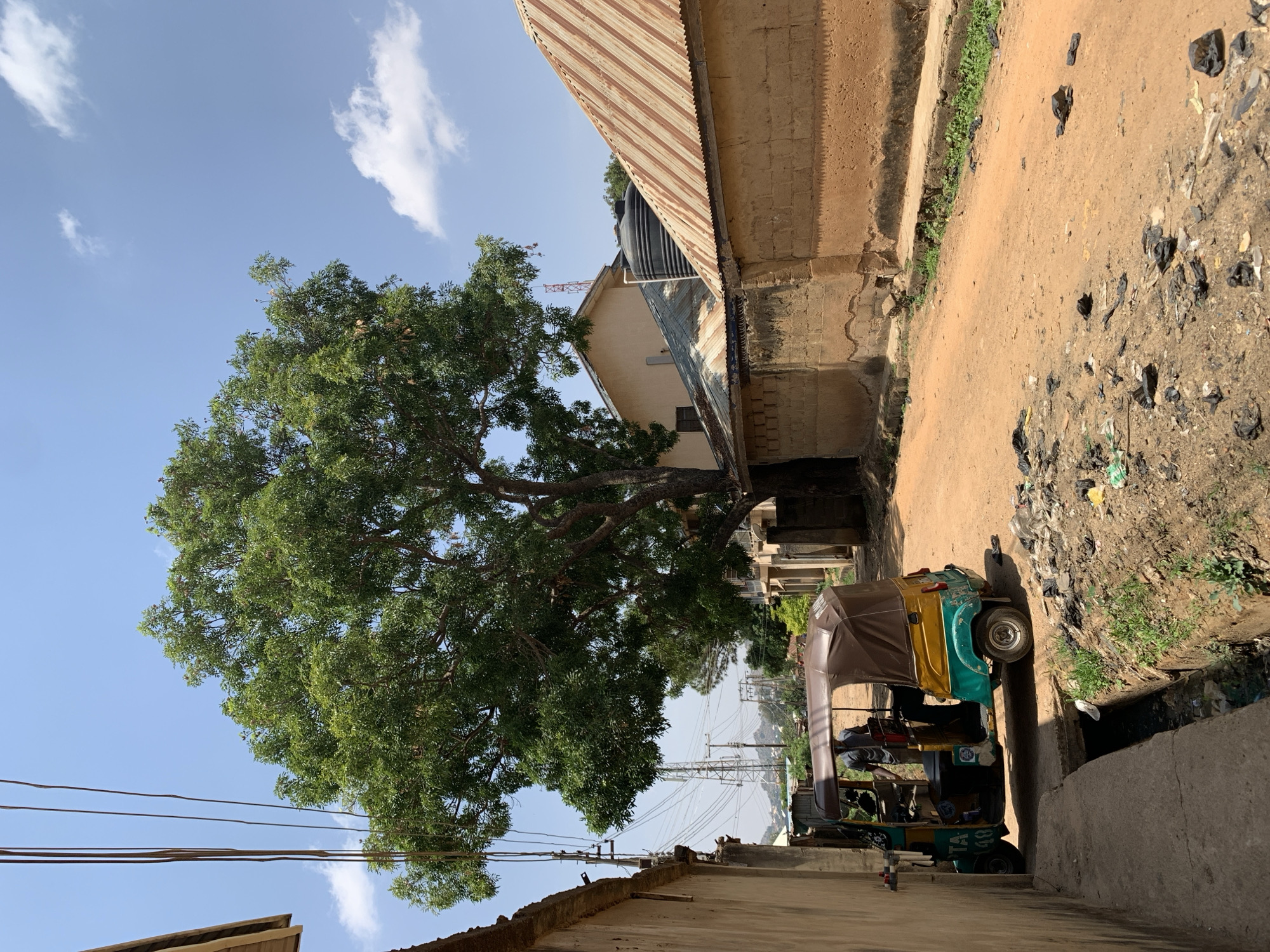 The image captures a street in Rafin Par, Nigeria. A large, full tree dominates the left side of the frame, its branches reaching towards a partly cloudy sky. Below the tree, power lines run across the scene. On the right, a dirt road is lined with trash and vegetation. Buildings stand on either side of the road, one with a corrugated metal roof. A green and yellow auto-rickshaw (tuk-tuk) is parked partially within a concrete drainage ditch. Two individuals are visible inside the auto-rickshaw. The overall impression is of a narrow, urban street with environmental challenges.