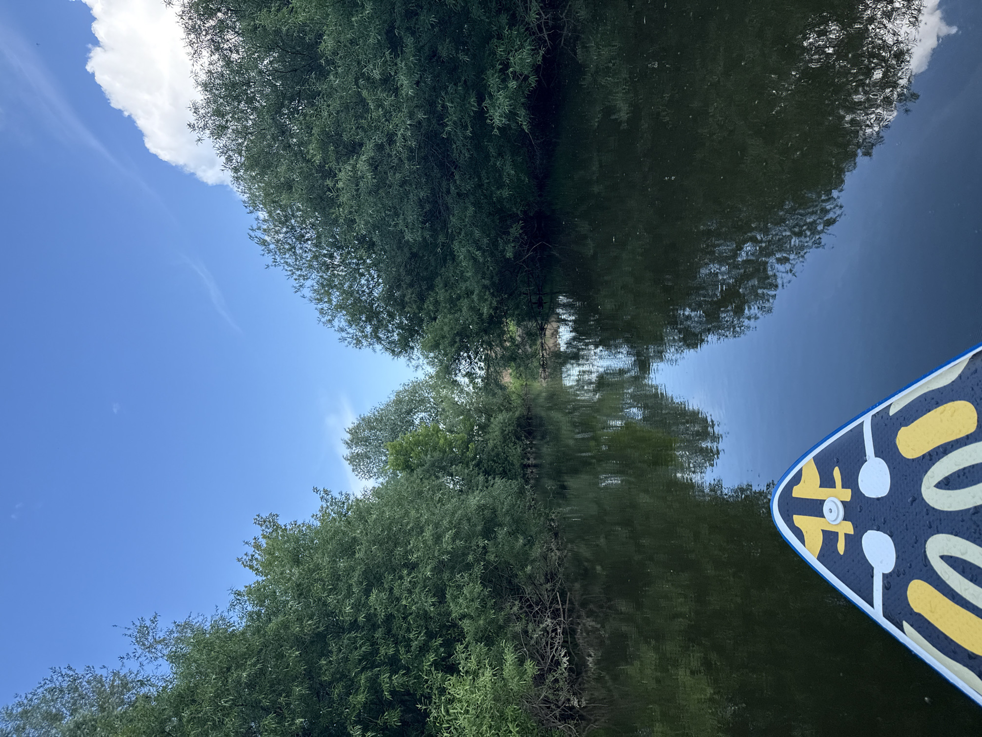 The image shows the view from the front of a paddleboard on a calm river surrounded by lush green trees on both banks. The sky above is a clear blue with a few wispy clouds and a larger white cloud on the right. The paddleboard has a decorative pattern in yellow and white. The water reflects the trees and the sky, creating a serene and natural scene. The location is identified as Kondratovo, Russia. There are no people or animals visible in the image.