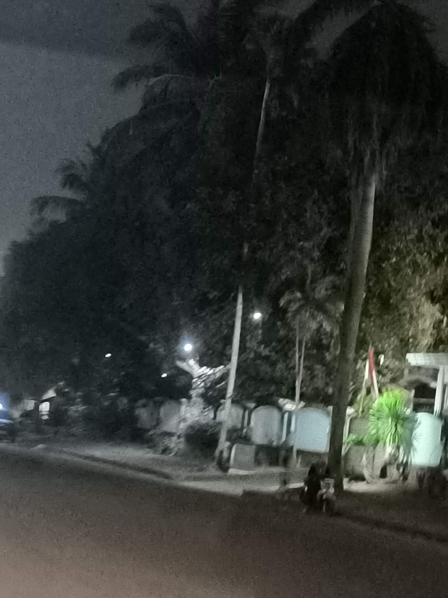 The image captures a dark outdoor scene, likely at night, with a paved road in the foreground. To the right of the road, there are several structures with lights, possibly shops or stalls, and lush green foliage. A tall tree trunk is prominent, extending vertically through the scene. In front of the structures, two individuals are seated on the ground, facing the road. One person appears to be dressed in dark clothing, while the other is partially obscured. The overall ambiance is dim, with streetlights and ambient light illuminating parts of the environment. The scene suggests a street-level view in a populated area, with elements of urban infrastructure and natural vegetation coexisting.