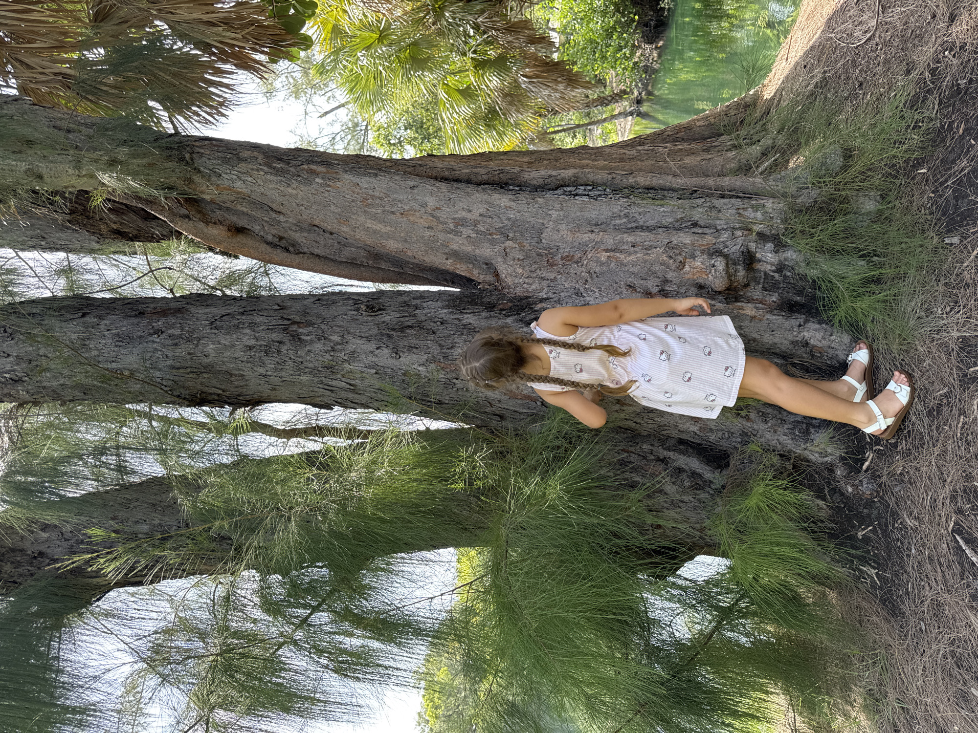 A young girl with braided hair, wearing a white and pink striped dress with cartoon cat patterns and white sandals, stands with her back to the camera, leaning against a large tree with rough bark. She is positioned on the left side of the frame, facing towards the right. Behind her, the tree trunk is thick and gnarled, with several intertwined branches. In the background, lush green foliage and palm trees are visible, with a body of bright green water to the right. The ground beneath the tree is covered in dry pine needles and dark soil. The scene appears to be outdoors, in a natural setting with a body of water. The location is identified as Fort Lauderdale, United States of America.