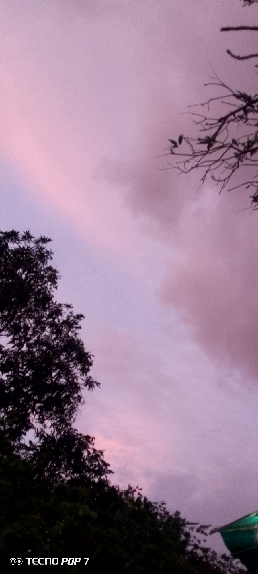 The image shows a view of the sky at dusk, with soft pink and lavender hues, suggesting a sunset or sunrise. Silhouetted against the sky are the dark outlines of trees and branches. In the lower left corner, the text "TECNO POP 7" is visible, indicating the device used to capture the image. The scene appears to be an outdoor setting, likely in a natural or semi-natural environment within the city of Altagracia, Venezuela. There are no people or specific actions depicted. The overall mood is tranquil and serene, characterized by the muted colors of the sky and the dark, natural elements.