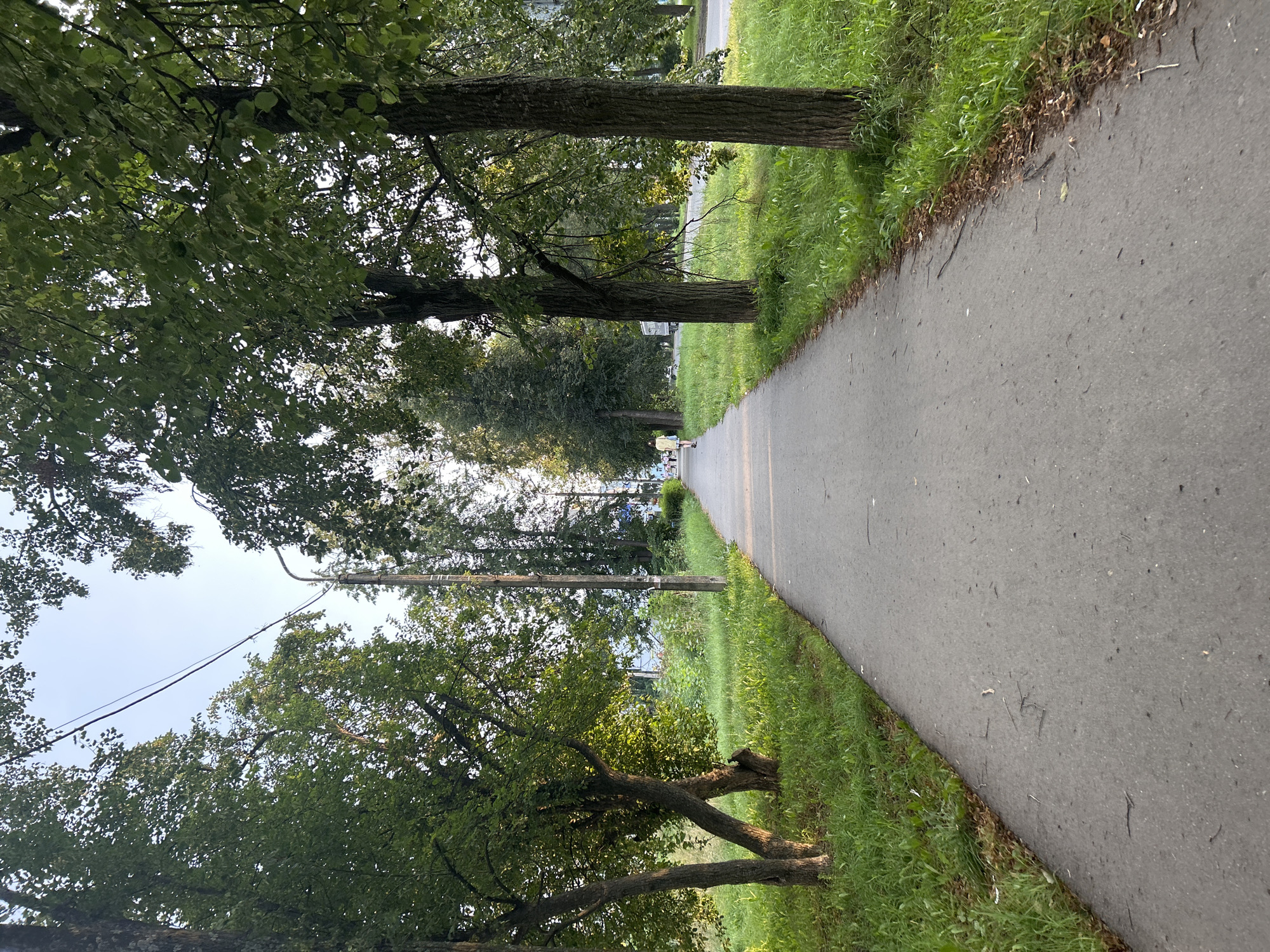 A paved pathway curves through a park-like setting with tall trees on either side. The path is made of grey asphalt and is bordered by lush green grass. A few scattered leaves and debris are visible on the path. In the distance, a person in a light-colored outfit is walking away from the camera, and a streetlight is visible on the right side of the path. The sky above is a clear, pale blue. The overall scene depicts a quiet, possibly urban, outdoor environment. The image appears to have been taken in Chaikovsky, Russia, based on the provided context.