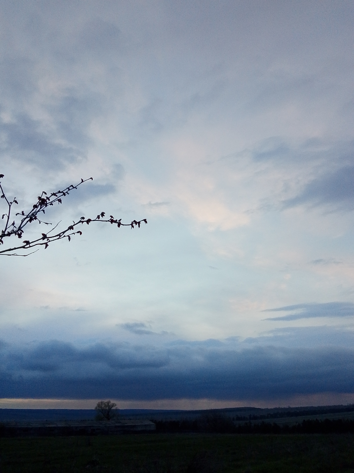 The image captures a vast, open landscape under a dramatic, overcast sky, likely at dawn or dusk. The upper two-thirds of the frame are dominated by clouds, ranging from pale blue-grey and soft white to heavy, dark blue-grey formations that accumulate towards the horizon, suggesting impending or recent weather. A subtle hint of pale pink or orange light is visible in the lighter clouds.
In the upper left, a silhouetted tree branch extends into the frame, adorned with small buds or nascent leaves, indicating late winter or early spring. The landscape below the horizon is dark and largely silhouetted, appearing as fields or low, rolling hills. In the mid-ground, an isolated, bare tree stands out against the lighter band of the horizon, with its branches faintly discernible. Below this tree, the indistinct outline of a low-lying structure, possibly an agricultural building, is also visible in silhouette.
There are no people or explicit activities depicted. The scene conveys a sense of quietude and vastness, with the heavy clouds lending a somewhat melancholic or dramatic atmosphere. No text is visible in the image. The setting suggests a rural area, consistent with the location context of Khlevnoye, Russia.
