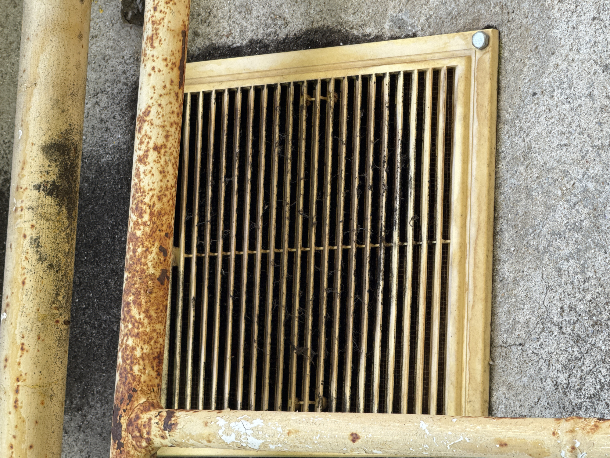 The image shows a close-up view of a rusty yellow metal grate set into a rough, gray concrete surface. The grate has vertical bars with a finer mesh behind them, and some debris, possibly cobwebs and dirt, is visible within the openings. To the left of the grate, two thick, rusty yellow pipes are positioned vertically, one slightly behind the other. The pipes show significant signs of rust and peeling paint. The concrete surface appears weathered and slightly cracked. A single silver bolt is visible securing the top corner of the grate to the concrete. The lighting suggests it is daytime, with no specific weather conditions apparent. The scene appears to be outdoors, possibly an industrial or utility area, given the materials and the presence of pipes and a grate. There is no text visible in the image.