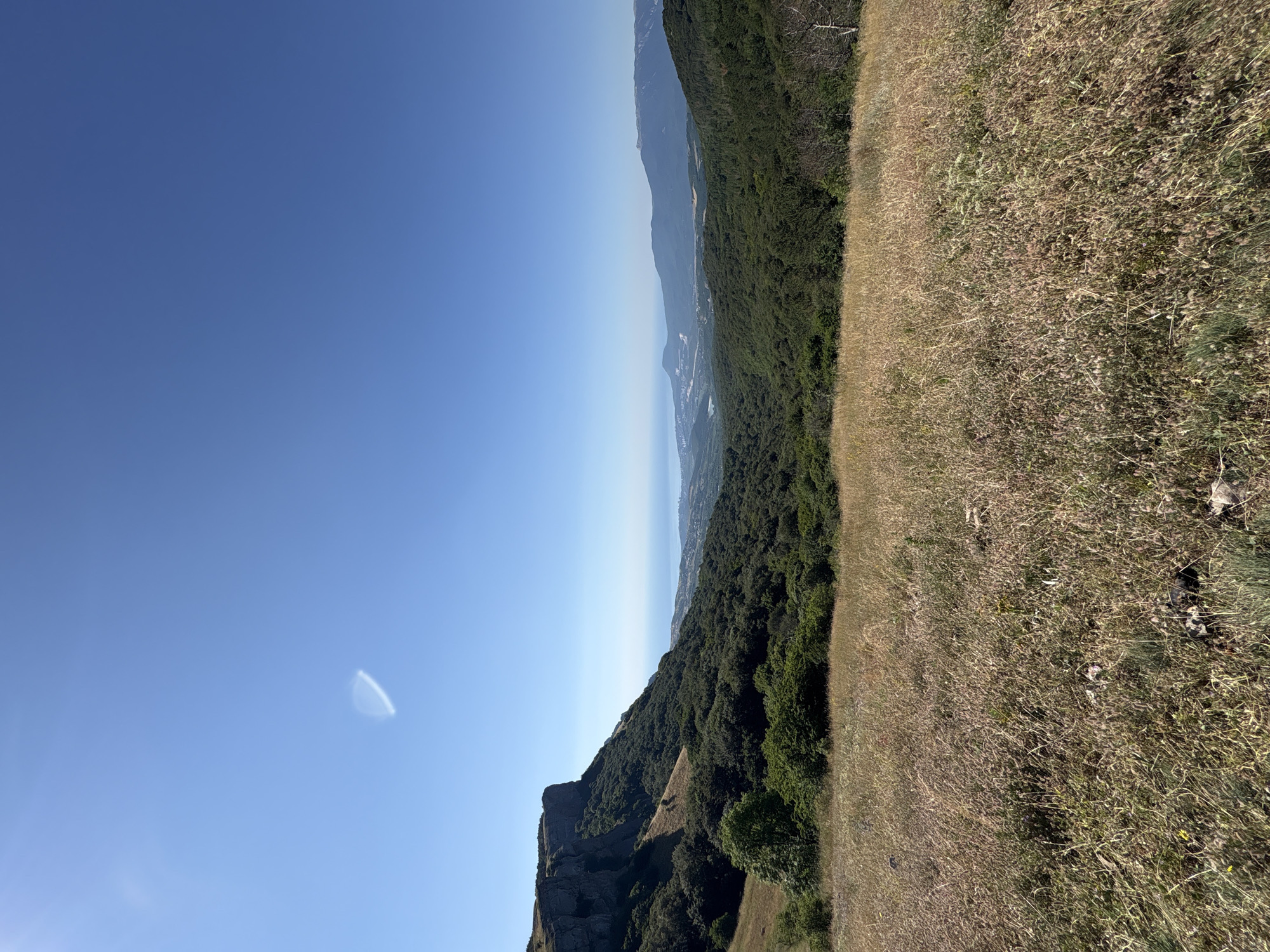 This is a wide-angle, eye-level shot of a mountainous landscape with a clear blue sky. In the foreground, a field of dry, golden grass stretches across the frame. Behind the grass, lush green trees cover the slopes of the mountains. The middle ground shows a valley with more trees and a distant view of a city and the sea. In the far distance, hazy blue mountains rise against the horizon. A single, wispy cloud is visible in the sky, to the upper left of the frame. The lighting suggests it is a sunny day, likely in the late morning or early afternoon. The location is identified as Unknown, Ukraine.