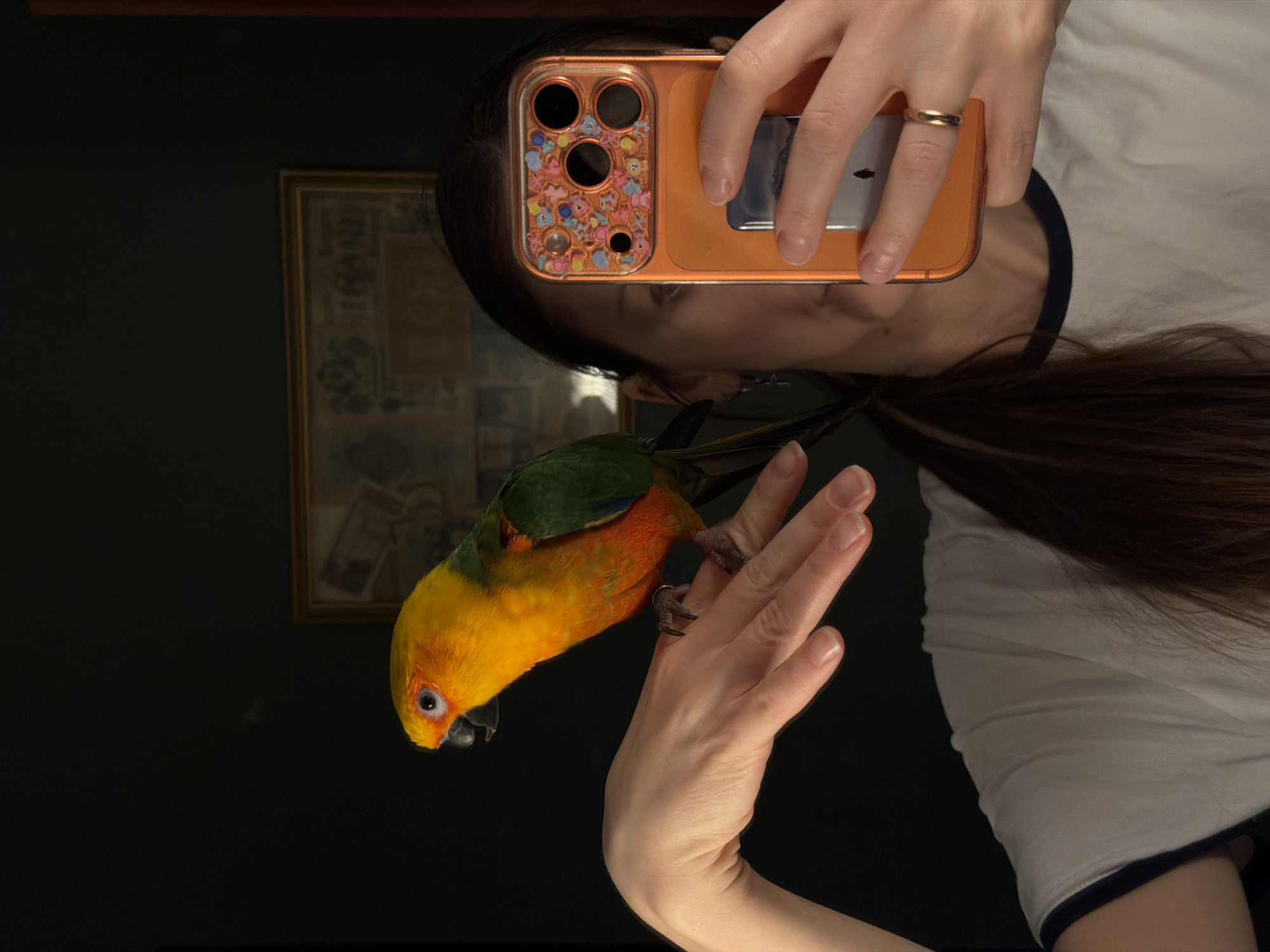 A woman is holding a phone and a Sun Conure parrot. She is wearing a white t-shirt with navy trim. The parrot is standing on her hand. A framed picture is on the wall behind them. The location is likely indoors. There is no information in the image to confirm or deny that it was taken in Khimki, Russia.