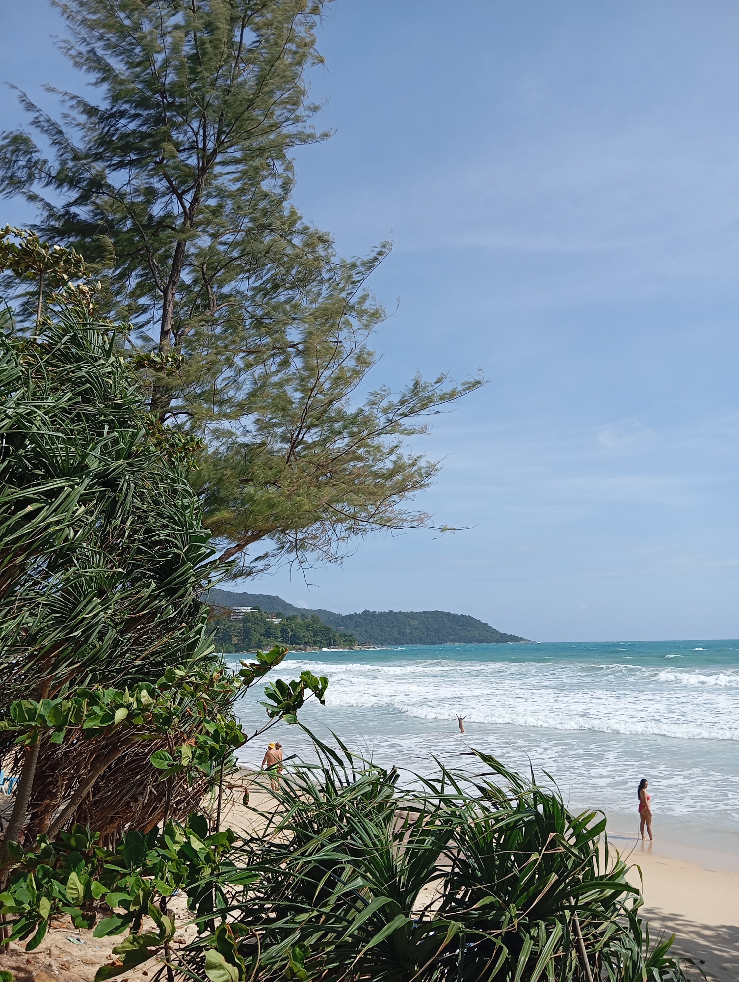 A sun-drenched beach scene in Karon, Thailand, unfolds under a clear blue sky. Lush green foliage, including spiky pandanus plants and the feathery needles of a pine-like tree, frames the foreground, suggesting a slightly wild and natural setting. The sand is a light beige, meeting the turquoise ocean with gentle waves. Two people are visible on the beach: a person in the distance, partially obscured by foliage, and a woman in a red bikini standing near the water's edge on the right. In the middle ground, a man wearing a yellow hat walks along the shoreline. The background features a verdant, tree-covered hill meeting the horizon, with a hint of buildings nestled within the greenery. The overall impression is one of a tranquil tropical paradise.