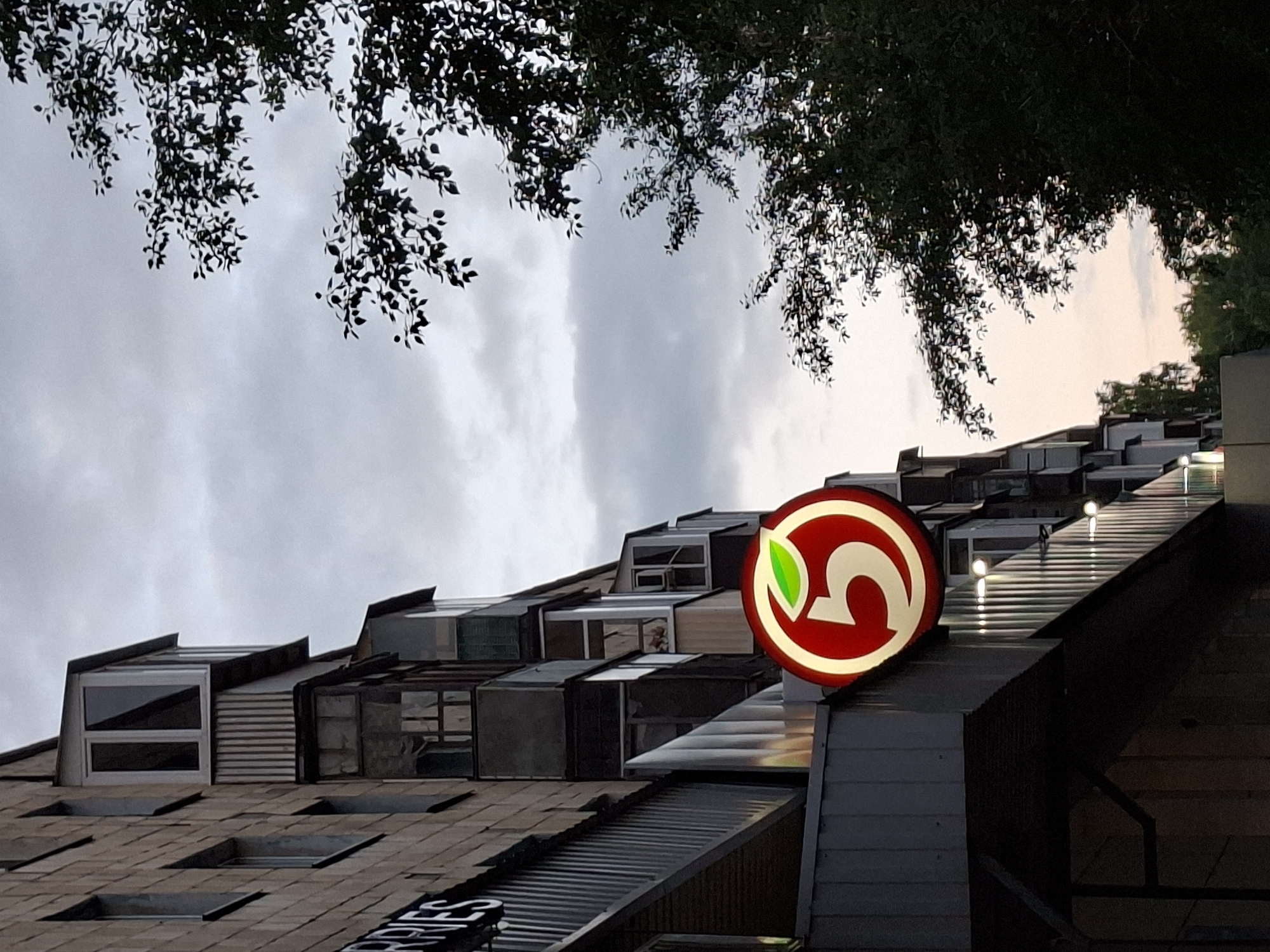 The image captures a section of a brick apartment building with multiple balconies, observed from a low-angle perspective. A prominent red circular sign with a white "5" and a green leaf is mounted on the building's facade. The sign is illuminated and appears to be for a retail store. To the right of the building, a dense tree with dark green foliage extends into the frame, silhouetted against a cloudy sky. The lighting suggests it is either early morning or late evening. The overall scene is urban, with the building's architecture being typical of residential blocks. The sign indicates a commercial establishment. The specific location in Kazan, Russia, is not discernible from the visual elements alone.