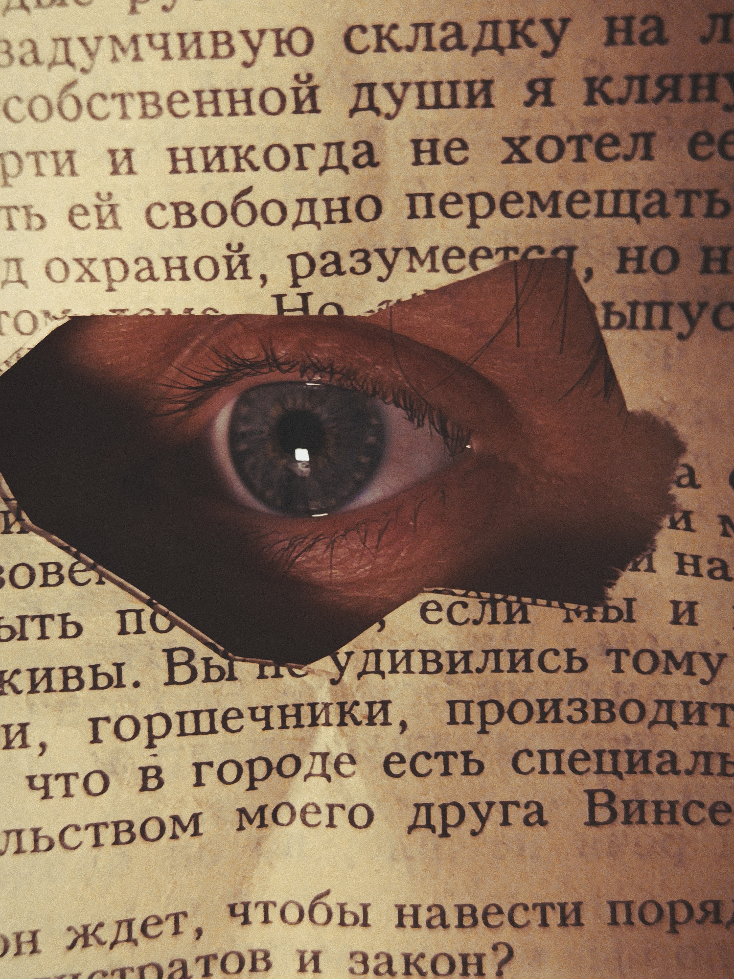 The image displays a close-up of a human eye peering through a jagged, torn-out section of an aged book page. The eye, which appears to be a left eye, features a blue-gray iris with a clear reflection in the pupil, indicating a direct and watchful gaze. Eyelashes are visible along the lid, and the skin around the eye has a warm, reddish-brown hue.
The surrounding page is covered with printed Russian text, presented on paper with a vintage, sepia-toned appearance and a slightly grainy texture, suggesting an old book or document. The rough, irregular edges of the tear contrast sharply with the printed words.
Visible fragments of the Russian text include phrases such as "задумчивую складку" (thoughtful crease), "собственной души я кляну" (my own soul I swear), "свободно перемещать" (freely move), "охраной, разумеется" (with guard, of course), "если мы и" (if we and), "Вы не удивились тому" (You were not surprised by that), "горшечники, производит" (potters, produces), "специаль" (special), "моего друга Винсе" (my friend Vince/Vincent), and "навести поря... и закон?" (bring order... and law?). These snippets hint at a narrative context involving self-reflection, guardianship, community, and law, adding depth to the visual.
The scene conveys a sense of hidden observation, introspection, or the act of "seeing through" written information. The combination of the human eye and the antique text creates an atmosphere of mystery and intellectual curiosity.