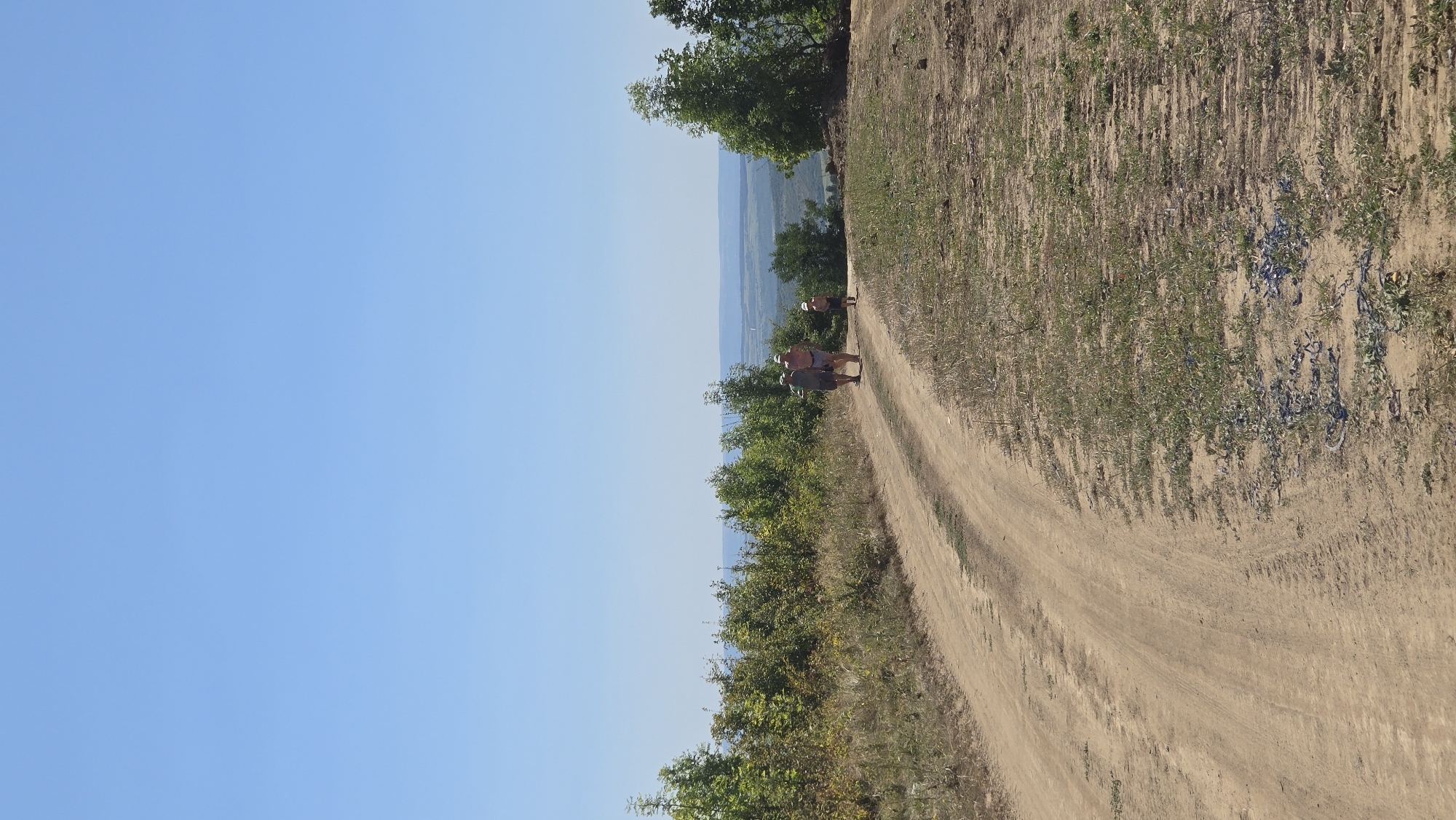 In Bălănești, Moldova, on a clear, sunny day, three individuals walk along a dirt road. The road curves to the left, bordered by dry grass and scattered green vegetation on the right, and trees and brush on the left. In the distance, a hazy landscape of rolling hills and possibly a body of water is visible under a bright blue sky. Two adults, one wearing a hat and shorts, and another in a hat and t-shirt, walk together, with a child in a light-colored hat and t-shirt following behind them. The overall scene depicts a rural, outdoor setting during daylight hours.