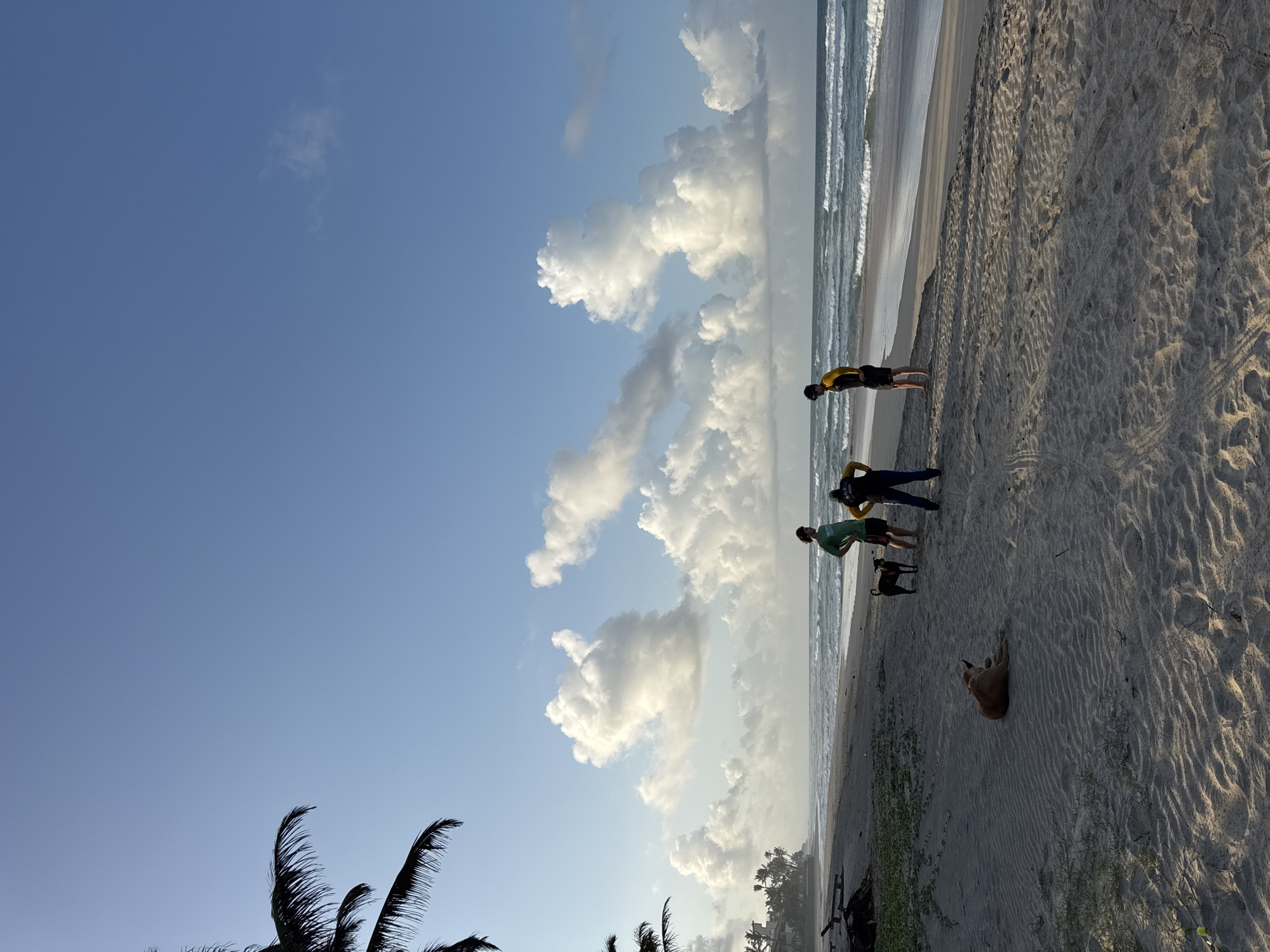 The image depicts a serene beach scene in Kathaluwa, Sri Lanka, under a clear blue sky dotted with fluffy white clouds. In the foreground, two dogs are present on the sandy beach. One dog, tan in color, is lying down on the sand, while another, darker dog, is standing. Three individuals are also visible on the beach. Two appear to be young men, one wearing a green t-shirt and black shorts, and the other in a yellow and black long-sleeved shirt and black shorts. They are standing near the darker dog. A third individual, wearing a blue tracksuit, is facing away from the camera. In the midground, the ocean stretches out with gentle waves rolling towards the shore. The coastline features lush green vegetation and palm trees, with some structures of buildings visible further along the beach, suggesting a proximity to a developed area. The overall atmosphere is peaceful, possibly captured during early morning or late afternoon given the lighting.