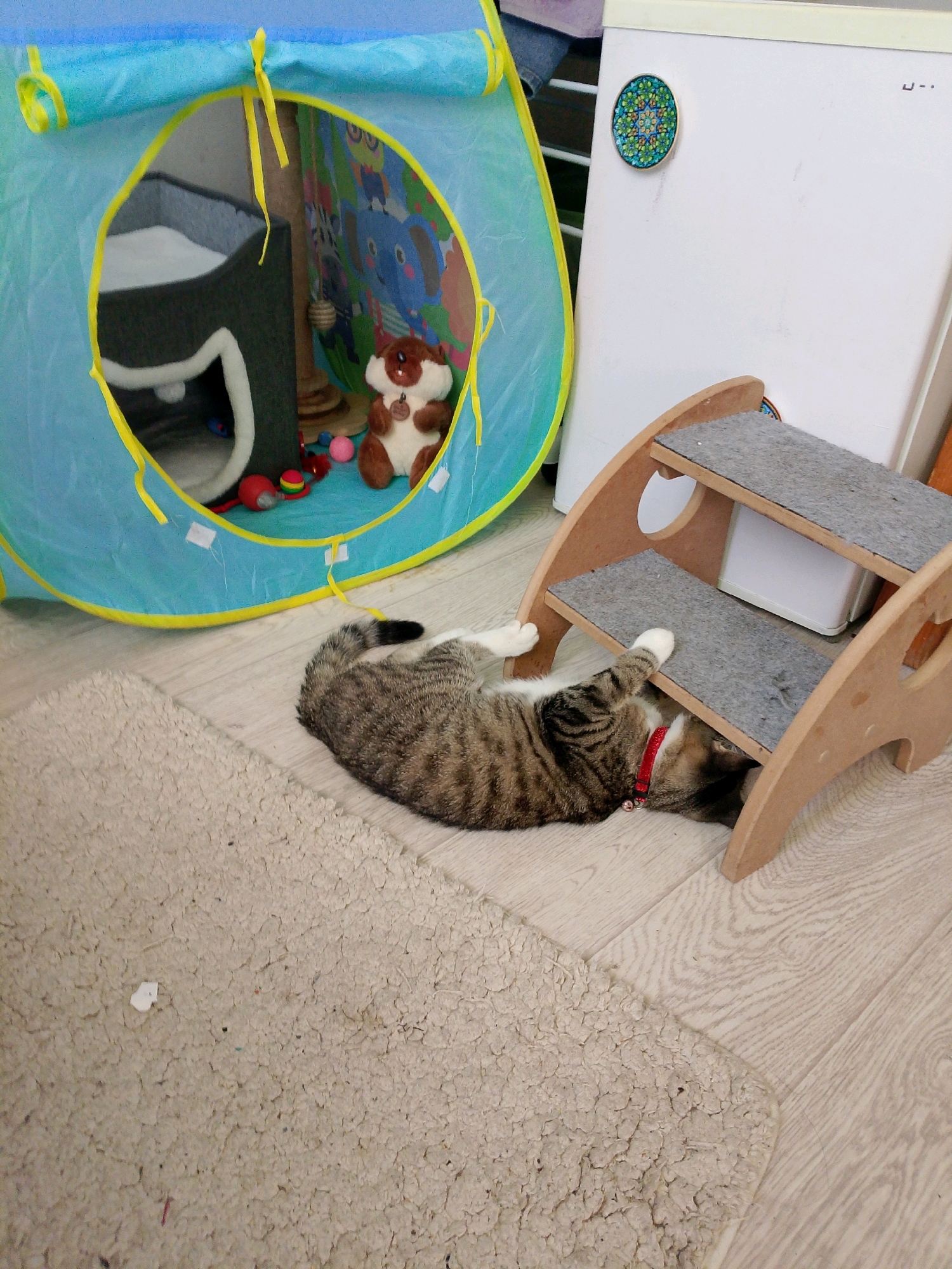 A tabby cat wearing a red collar is lying on its back on a wooden floor next to a rug. The cat is partially under a two-tiered wooden pet ramp with grey carpeting on the steps. Behind the cat and ramp is a blue and yellow pop-up play tent. Inside the tent, there is a cat bed, several toys including a stuffed bear, and colorful cartoon-themed fabric. To the right of the tent and ramp is a white refrigerator with a circular mosaic magnet on it. The scene appears to be indoors, likely in a residential setting.