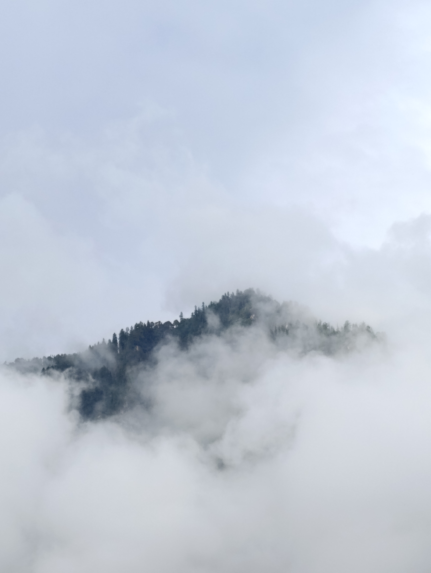 A misty mountain peak is shrouded in clouds. The peak is covered in dense evergreen trees. The sky is overcast, with soft, diffused light. The image appears to be taken from a slightly elevated position, looking up at the mountain. This landscape is characteristic of the natural beauty surrounding Manali, India, a popular hill station known for its scenic mountain views.