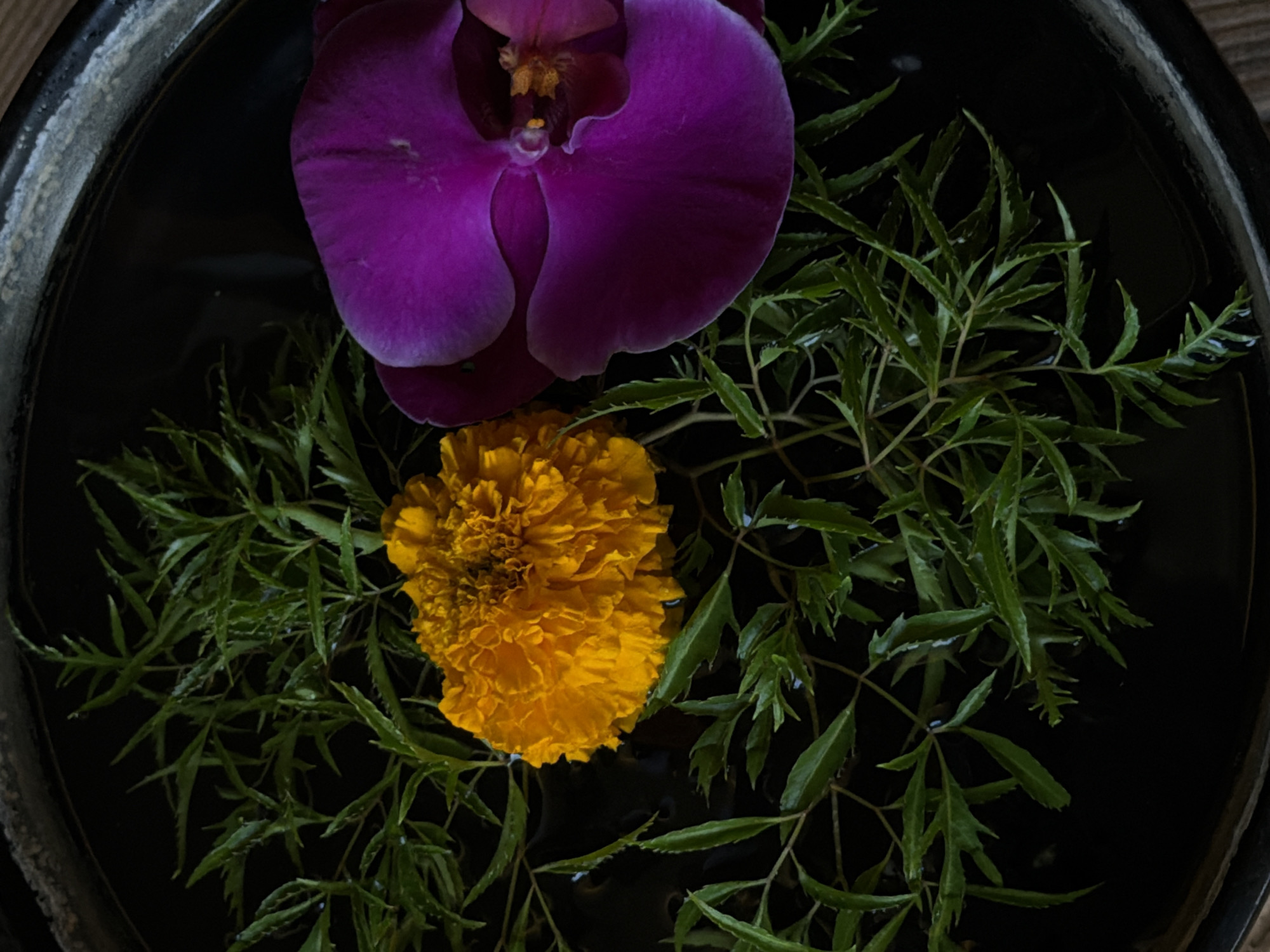 Within a dark, textured bowl or basin located in Belalang, Indonesia, a decorative arrangement floats on a reflective, dark water surface. The scene features one vibrant orange, densely petaled flower, consistent with a marigold, positioned towards the left-center. To its right, a large, deep purple orchid flower, appearing to be a Phalaenopsis species, displays its prominent petals and yellow-orange central stamen. Numerous sprigs of finely-lobed green foliage are distributed across the water, interspersed among both flowers. All botanical elements appear to be floating passively on the water within the container.