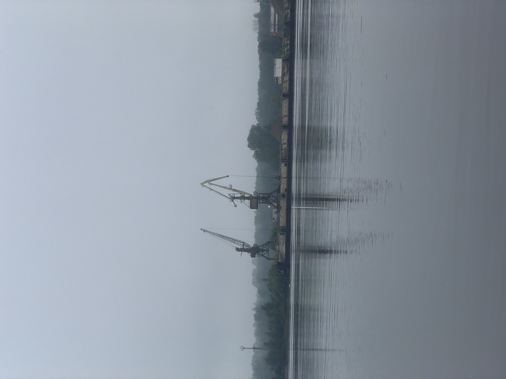 The image, oriented correctly, displays a broad, placid body of water, likely a river or large canal, under a heavily overcast and hazy sky. The water's surface reflects the muted tones of the sky and the distant bank, appearing still with subtle textures.
Along the far bank, a long, weathered industrial pier or dock stretches horizontally. Two large, gantry-style industrial cranes, appearing old and robust, stand prominently on the dock. Their metal structures are distinct against the grey backdrop, with various beams and machinery visible. Behind the dock and cranes, a dense line of trees forms a natural treeline, its details softened by the prevailing haze. Faintly visible through the atmospheric conditions, some indistinct industrial buildings or structures appear above the treeline on the distant bank. Closer to the foreground on the bank, a slender, pole-like structure, possibly a navigation aid or small antenna, is also present.
The scene depicts an industrial waterside area, consistent with a port or cargo handling facility in Noviy, Russia. The weather is characterized by significant overcast conditions or fog, lending a monochromatic palette dominated by shades of grey and muted greens. This atmospheric haze reduces visibility and creates an impression of quietude and stillness. No human activity or visible text is present. The time of day appears to be daytime, but the lack of direct sunlight prevents a more precise determination.