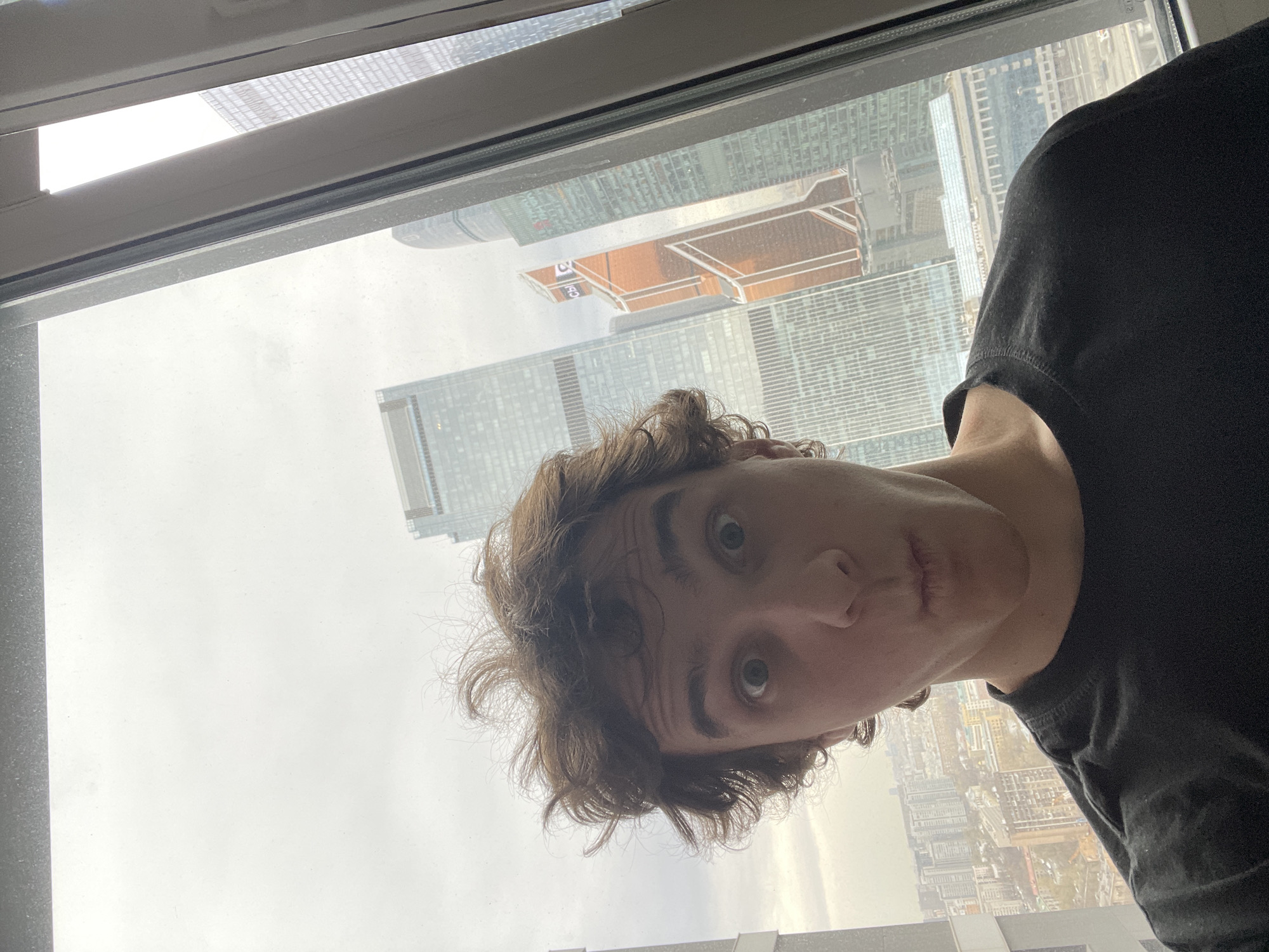 A medium shot depicts a fair-skinned individual with brown, curly hair wearing a black shirt. The individual is looking directly at the camera with a slight duck-lip expression. The background features a cityscape with numerous high-rise buildings, partially obscured by a gray, overcast sky. The scene appears to be viewed from a high vantage point through a window frame. While the image shows buildings, there is no information to suggest that it is Khimki, Russia.