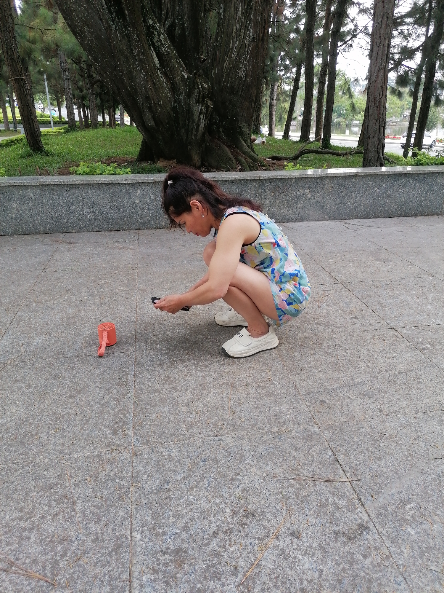Memory