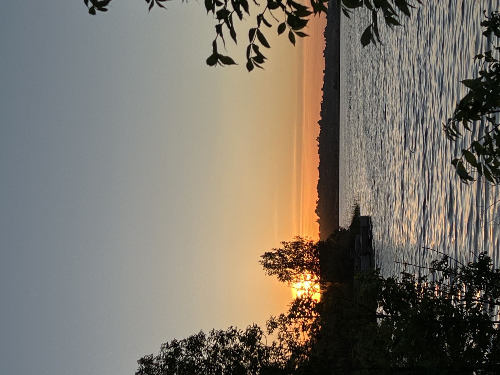 The image captures a sunset scene over a body of water, likely a river or lake. The sun is setting on the horizon, obscured partially by silhouetted trees in the foreground, creating a golden glow on the water's surface and the sky. The sky transitions from light blue to orange as it approaches the horizon. Along the shoreline opposite the viewer, there is a dark, heavily vegetated strip of land. A small dock is visible on the water near the shore. The foreground is framed by foliage. The image's location cannot be determined to be in Reniv, Ukraine based on visual information alone.