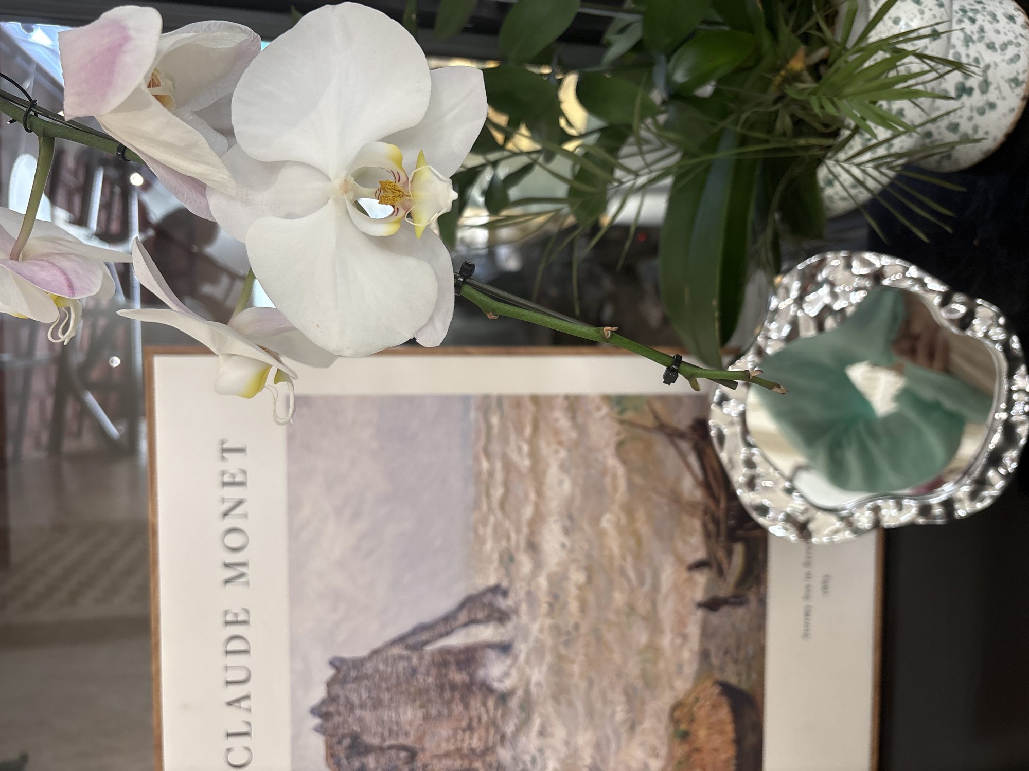 The image shows a close-up of an orchid resting on a book about Claude Monet. There's a plant in a white pot, and a silver decorative bowl is present. The scene appears to be indoors, possibly on a table. The location is not determinable from the provided image.