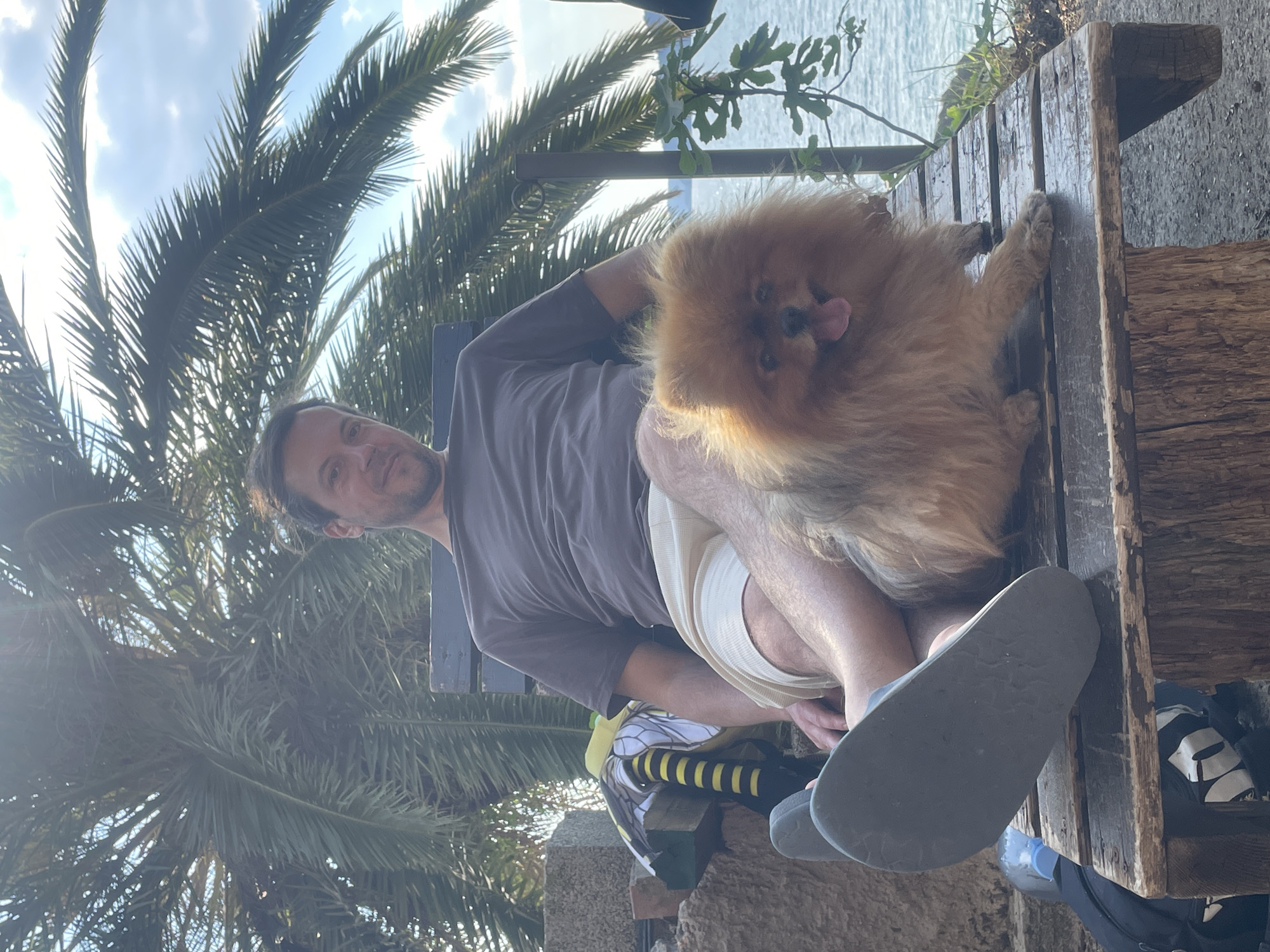 A medium shot captures a man and a Pomeranian dog resting on a weathered, wooden pallet bench against a backdrop of palm trees and the Adriatic Sea, likely taken in Kamenovo, Montenegro. The man, facing the camera at an angle, has fair skin and short brown hair and is wearing a gray t-shirt and light-colored shorts. The Pomeranian is resting on his lap, with its tongue slightly visible. The bench, made of roughly hewn wooden planks, is partially shaded. Underneath the bench, various items are visible, including a bag with a striped pattern and blue objects. The palm trees extend into the upper left of the frame, while the sea is visible in the background. The lighting suggests a sunny day.
