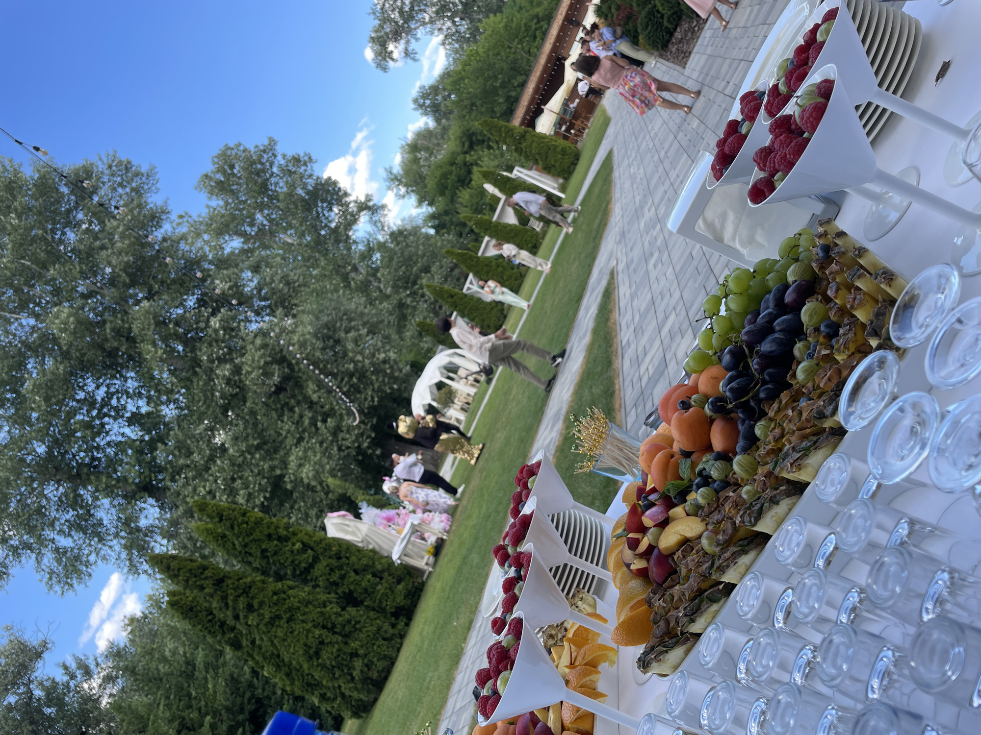 The image captures an outdoor event, likely a celebration, set in a well-maintained green space with mature trees and a clear blue sky. In the foreground, a white-draped table is laden with a diverse assortment of fruits, including raspberries, blueberries, grapes, apricots, peaches, oranges, and pineapple slices. Numerous clear glasses are neatly arranged on the table, ready for use.
In the mid-ground, several people are visible milling about on a grassy lawn. Some individuals are dressed in festive attire, including one person in a golden costume. Further in the background, white tents and decorative elements suggest a wedding or a similar formal gathering. The setting appears to be a park or a dedicated event venue, consistent with locations in Vadul lui Voda, Moldova, known for its scenic landscapes and outdoor recreation areas. The overall atmosphere is one of a pleasant, organized outdoor event.