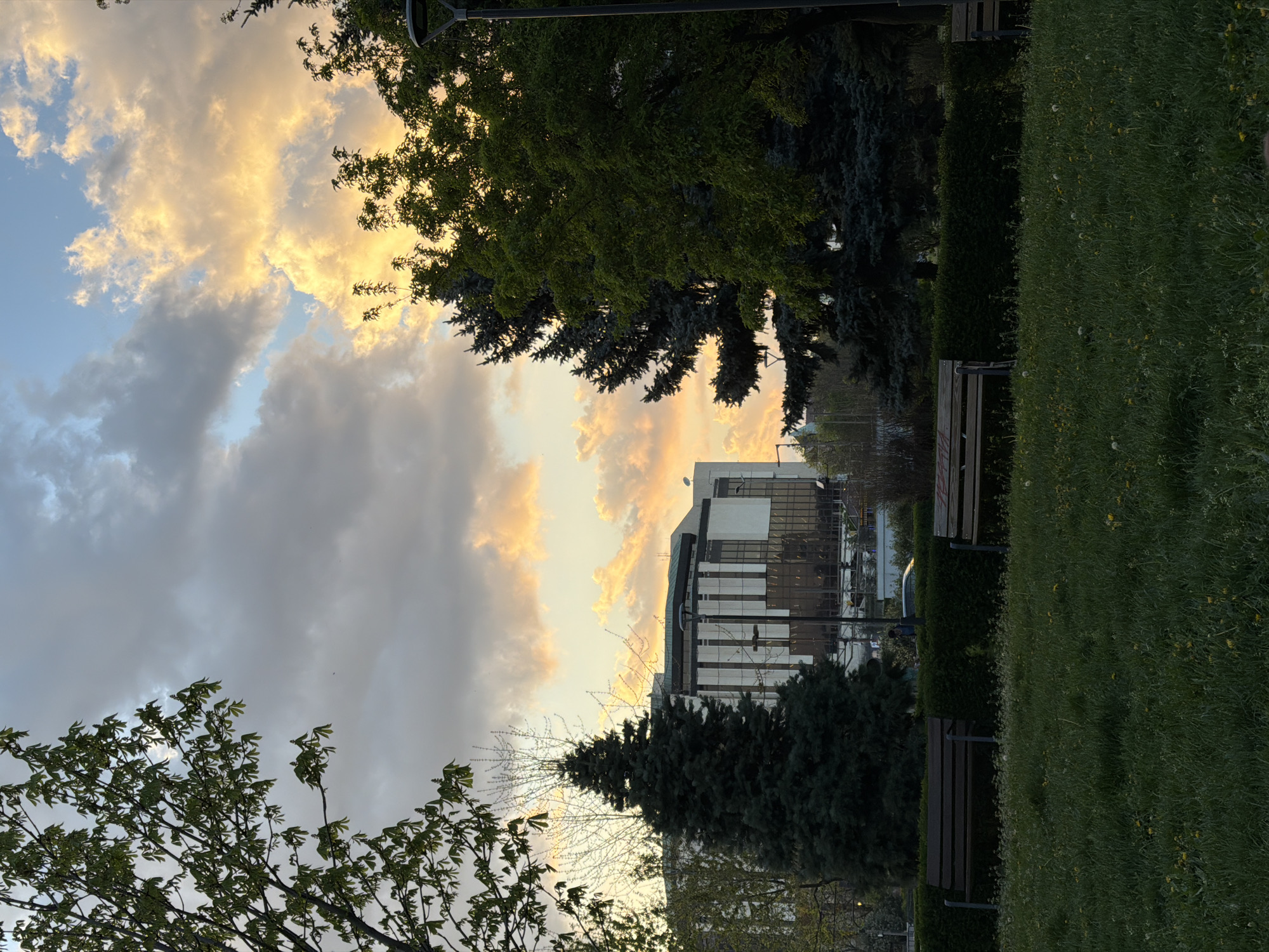 The image shows a view in Sofia, Bulgaria, likely a park or green space. The scene includes a modern building with reflective glass, trees, and manicured hedges. There are wooden benches visible among the greenery. The sky is filled with clouds, reflecting a golden light, suggesting either sunrise or sunset.