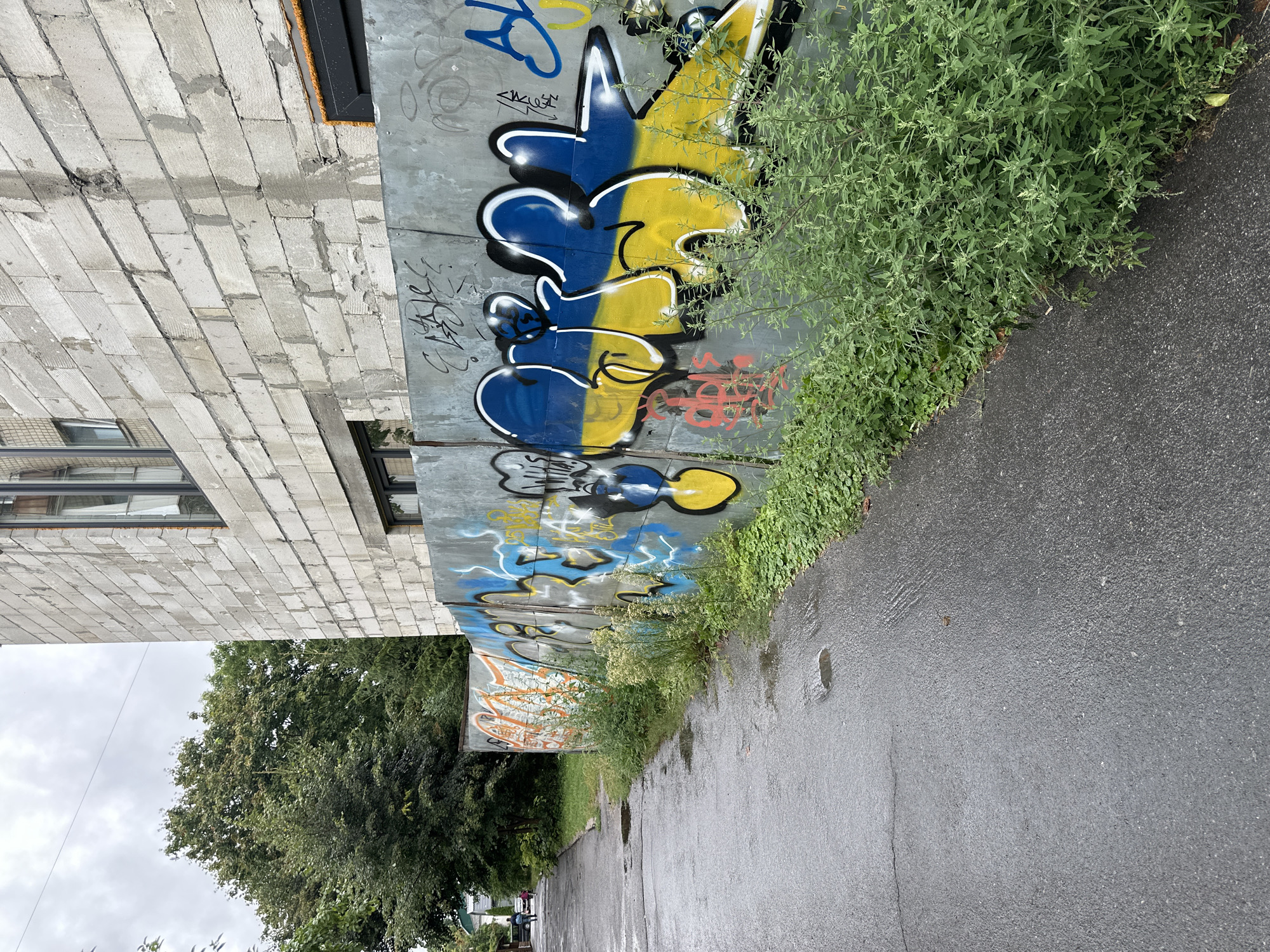 The image shows an outdoor scene in Khmilnyk, Ukraine. A wet, asphalt pathway runs along the left side of the frame, leading away from the viewer and towards a few distant figures walking. To the right of the pathway is a metal fence covered in graffiti. The graffiti features various tags and stylized lettering, with a prominent section painted in the blue and yellow colors of the Ukrainian flag. Behind the fence, a building under construction is visible, made of light-colored cinder blocks. Lush green vegetation grows along the base of the fence. The sky is overcast, contributing to the muted lighting of the scene.