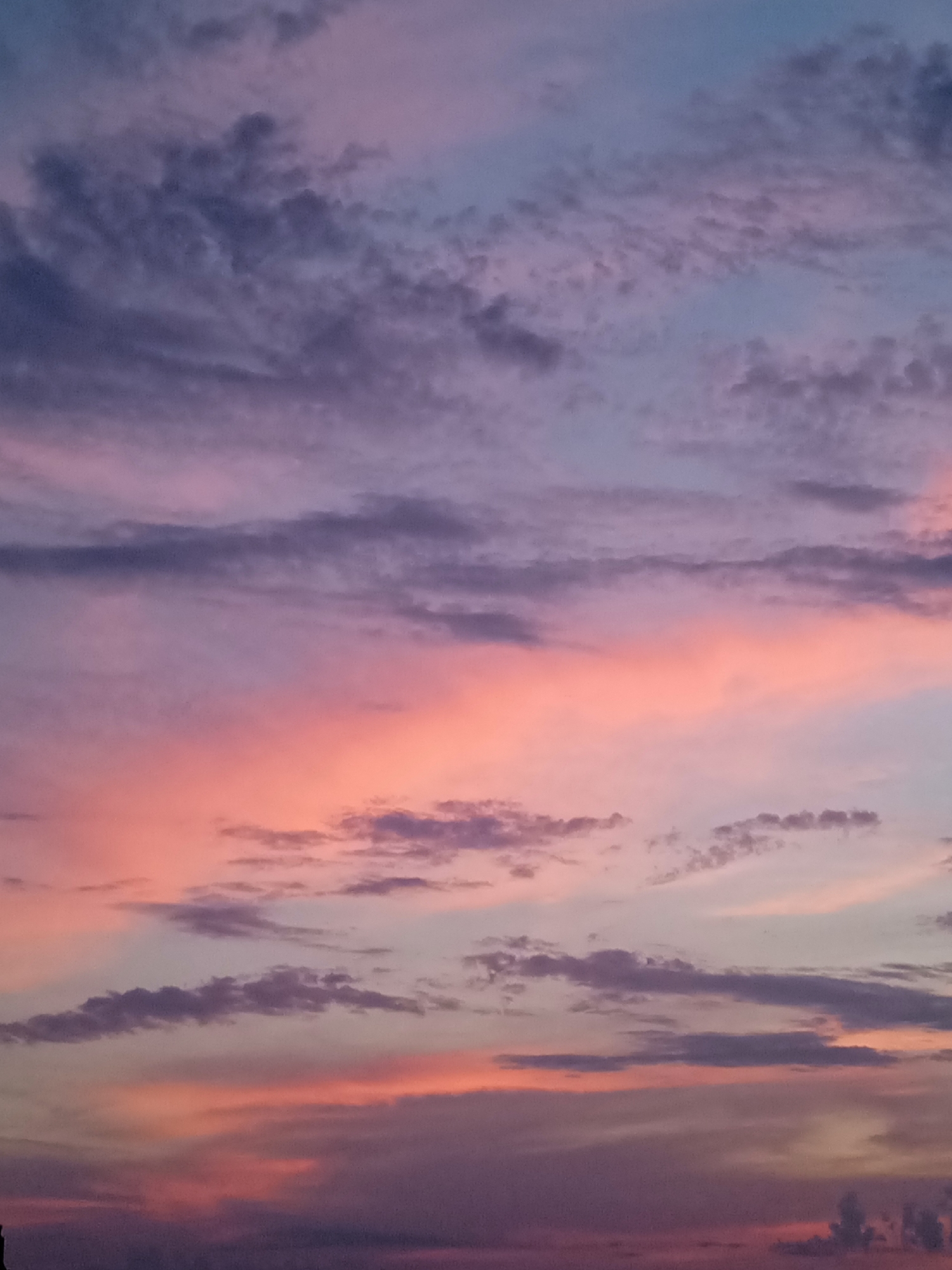 This is a photograph of a colorful sky at sunset or sunrise. The sky is filled with clouds that are illuminated by the sun's rays, creating a gradient of colors from deep purple and blue at the top to soft pink and orange towards the horizon. The clouds are varied in texture and density, with some appearing wispy and thin, while others are more substantial and textured, casting shadows on each other.
The overall mood of the image is serene and picturesque, evoking feelings of peace and awe. The soft lighting and gentle colors suggest a tranquil moment, possibly a calm evening or early morning. There are no people or distinct objects visible in the frame, placing the sole focus on the natural beauty of the sky. The bottom of the image shows a faint silhouette of what might be trees or a distant landscape, but they are not detailed enough to provide specific location cues. The time of day is clearly indicated by the sunset/sunrise colors. No text is present in the image.