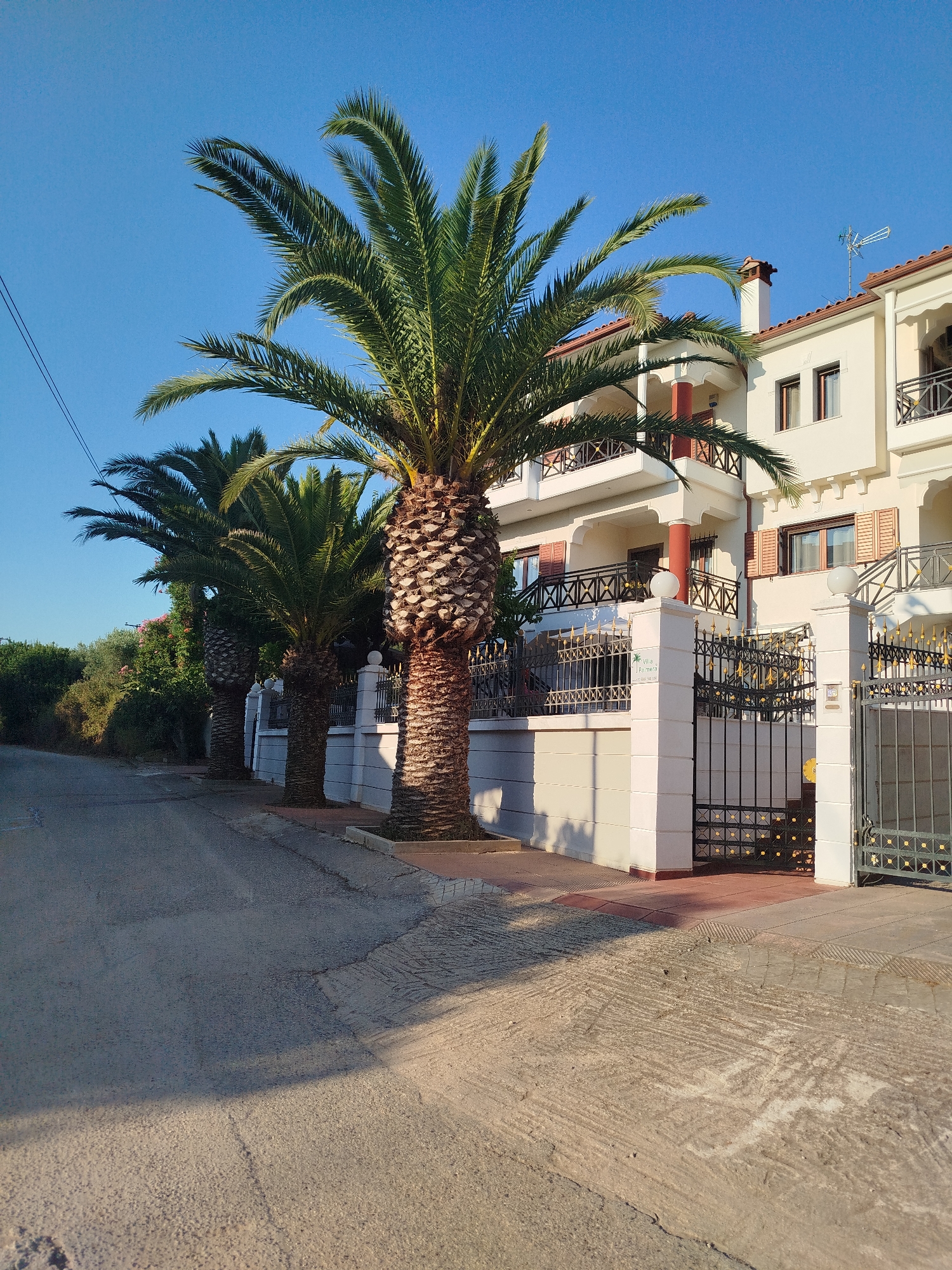 The image shows a street scene in Sithonia Municipal Unit, Greece, with a residential building and palm trees. The building is a multi-story structure with a cream-colored facade, red-tiled roof, balconies with black railings, and shutters on the windows. In front of the building, there are several mature palm trees with thick, textured trunks. A black wrought-iron gate with gold accents is visible, as well as a white pillar with a sign that reads "Villa Palmera". The street in the foreground is paved and appears to be well-maintained. The sky is a clear blue, indicating a sunny day. The overall impression is one of a well-kept property in a warm climate.