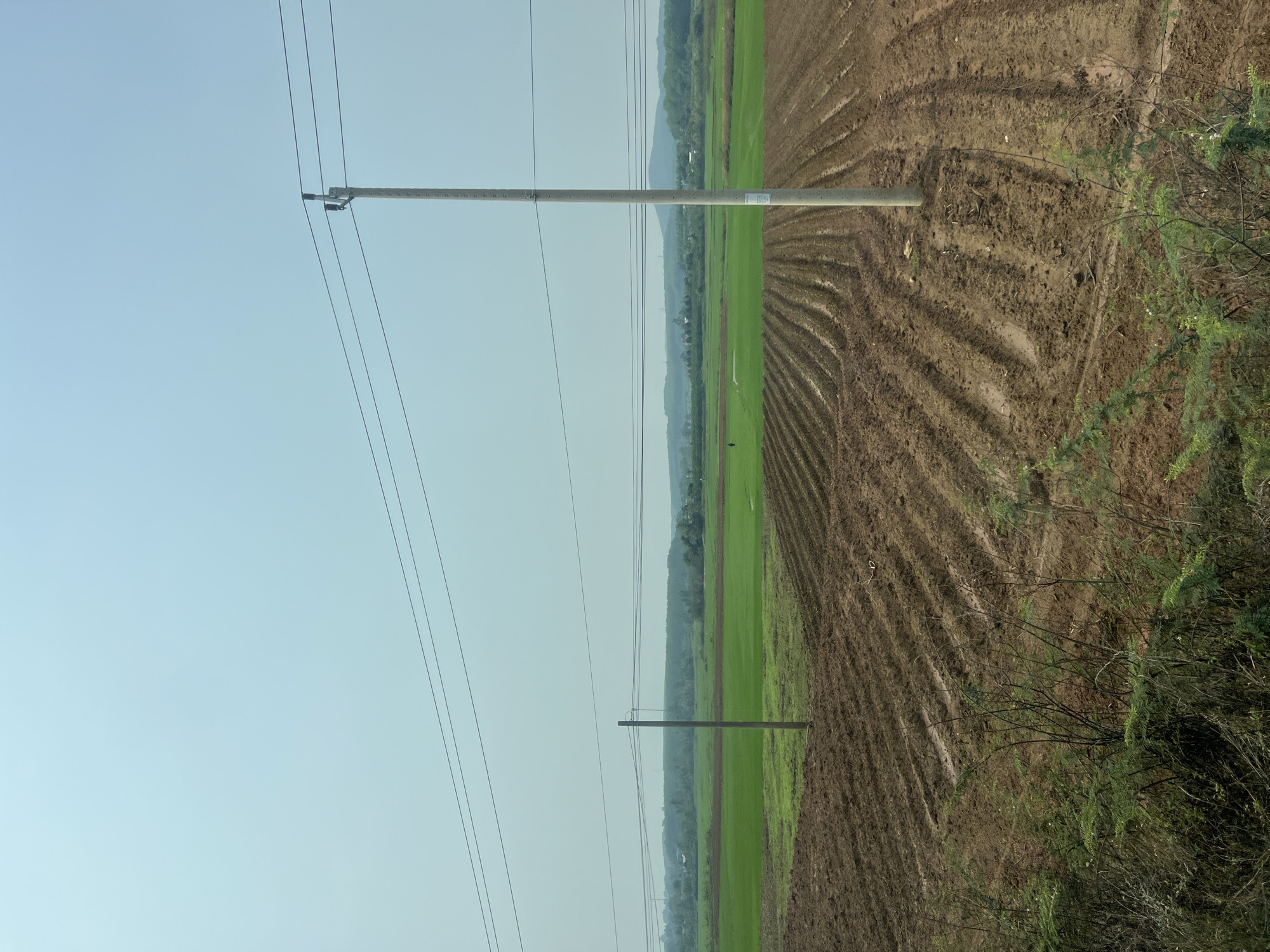 The image depicts a rural scene near Dak To, Vietnam. Two concrete utility poles stand upright, supporting a series of overhead power lines stretching across the frame. To the right of the poles, a field is divided into distinct sections of brown, tilled soil and green vegetation, likely rice paddies. The tilled portion displays parallel ridges, indicating recent plowing or cultivation. Dense foliage or shrubbery is visible along the right edge of the frame. In the background, a line of trees separates the field from distant hills or mountains under a clear, light blue sky. No people are clearly visible in the image. The overall impression is a landscape undergoing agricultural activity in a rural setting.