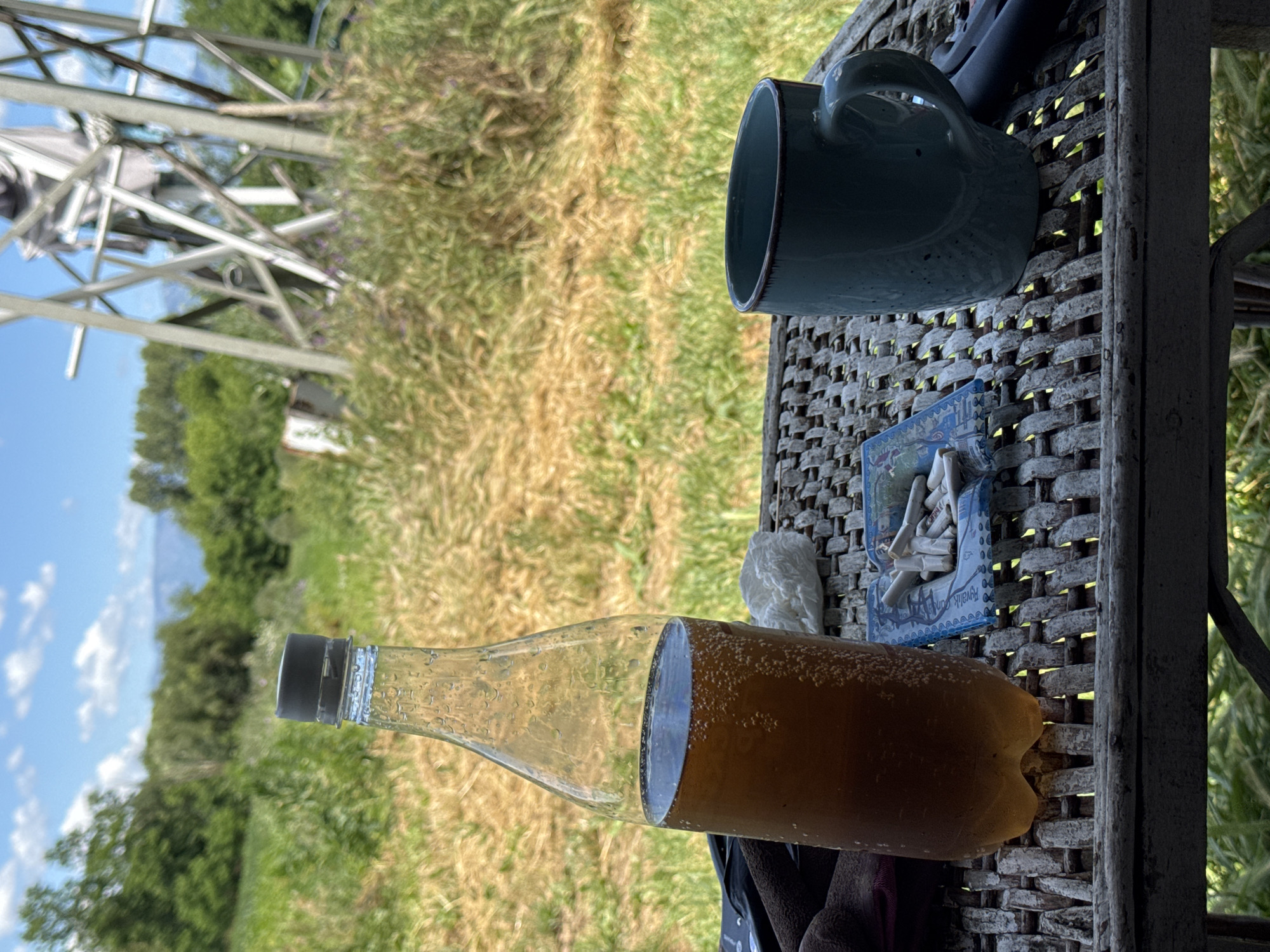 In the city of Prolom, Bulgaria, on a sunny day, a partially filled plastic bottle of brown liquid sits on a woven table. Beside the bottle is a small blue ashtray containing several cigarette butts. To the right of the ashtray is a blue ceramic mug. The table is outdoors, with a background of green grass, trees, and a clear blue sky with scattered clouds. A metal structure, possibly an antenna or part of a larger construction, is visible in the background. The overall scene suggests a casual outdoor setting, perhaps a picnic or a moment of relaxation.