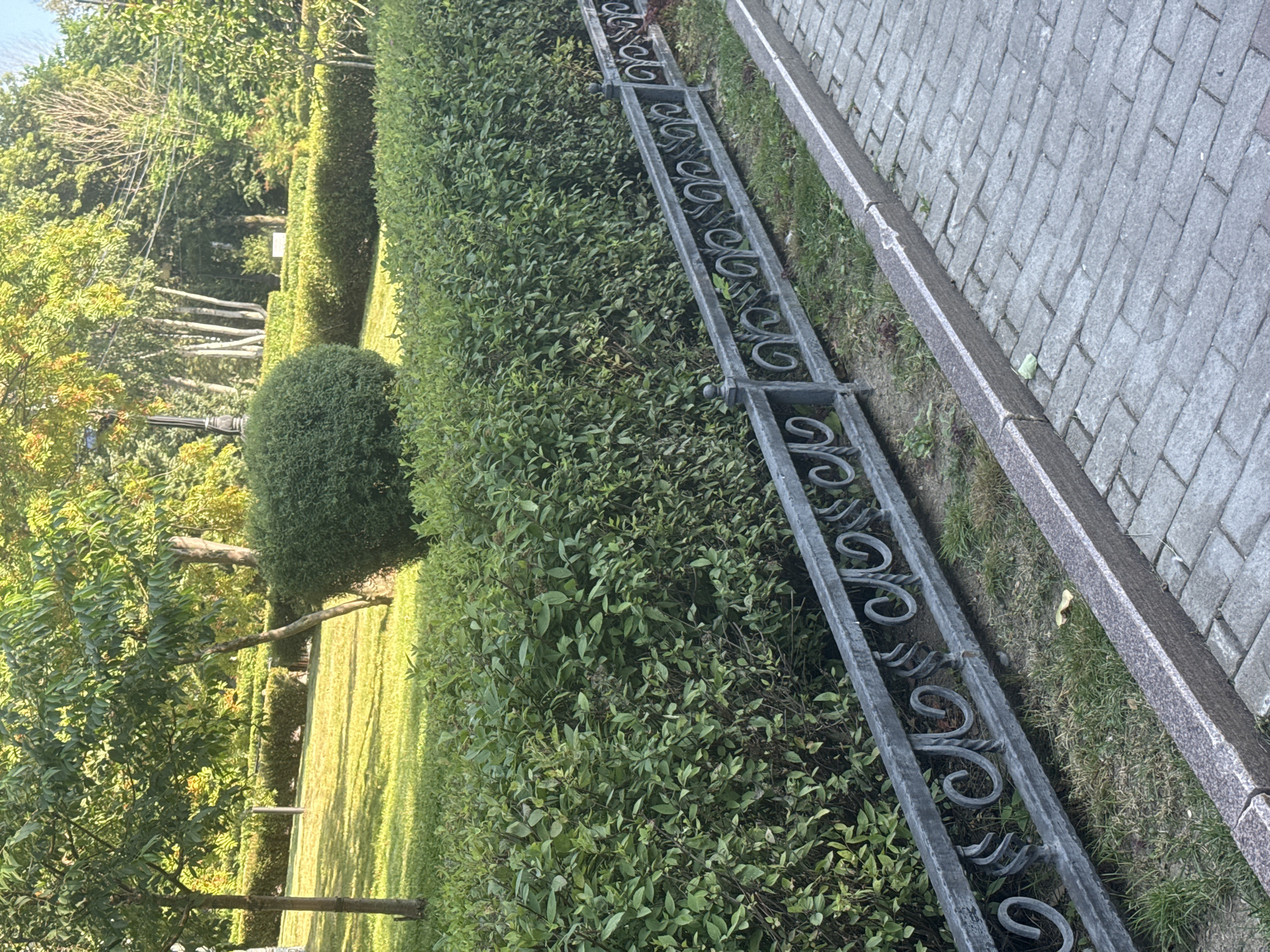 The image depicts a park area with manicured greenery. In the foreground, a stone pathway made of gray interlocking bricks runs diagonally from the bottom right corner. A granite curb separates the pathway from a strip of grass and a decorative metal fence. The fence is dark gray, featuring an intricate scrollwork design and vertical posts topped with small finials. Behind the fence, a dense hedge of green bushes extends horizontally across the frame. Further into the background, a well-maintained lawn is visible, interspersed with trees and more hedges. A rounded, dark green bush is positioned to the left of the fence and hedge. The lighting suggests it is daytime, with sunlight filtering through the trees, creating shadows on the grass. The overall scene is tranquil and well-kept, indicative of a public park. The Yuzhno-Sakhalinsk City Park is a plausible location for such scenery.