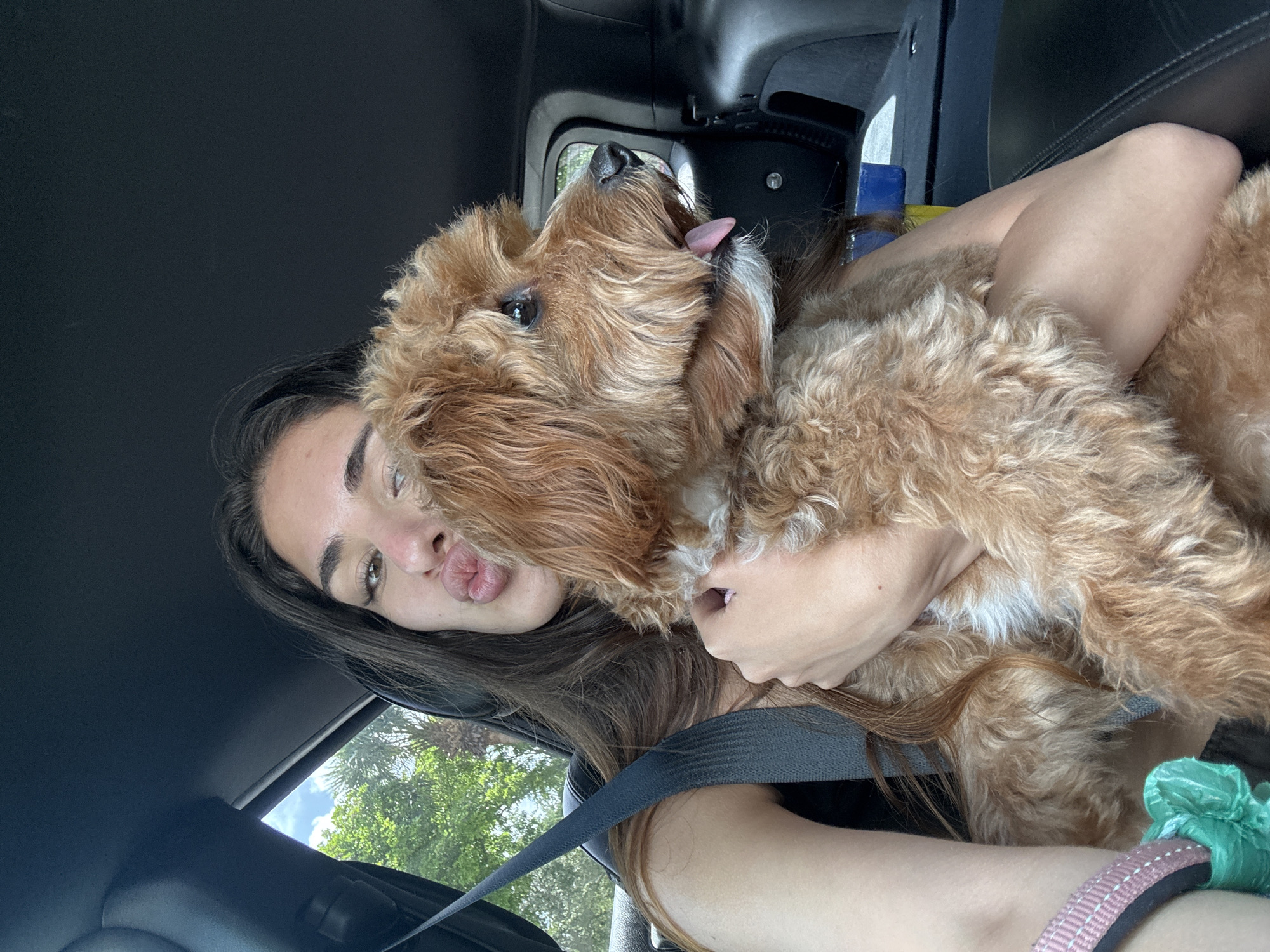 A light-skinned woman with long brown hair is in a car, wearing a seatbelt and holding a golden doodle dog. The dog is leaning its head back, its tongue slightly out. The scene appears to be in Delray Beach, United States of America, as suggested by the presence of trees outside the car window.