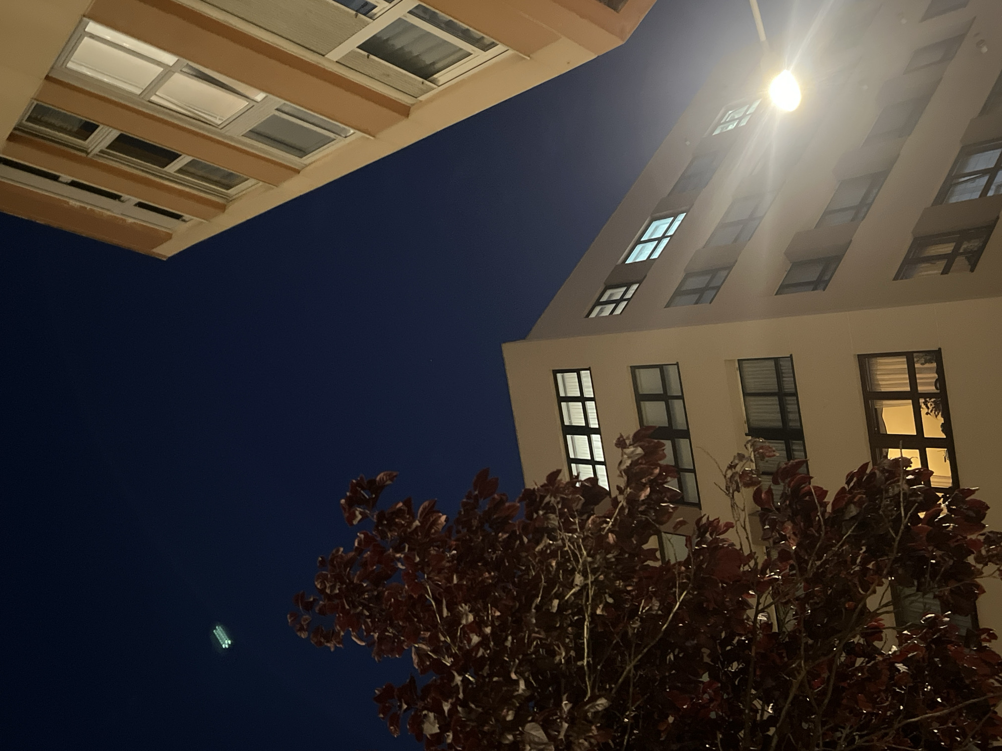 View looking up at two buildings at night. The building on the left has light brown facade with multiple window boxes on the top two floors. The building on the right is taller, with a light colored facade, illuminated by a street light positioned close to the building, with several dark windows running up the side of the building. A leafy, dark-colored tree in the bottom right corner obscures part of the bottom of the building. The sky is a deep dark blue. A Coruña, Spain.