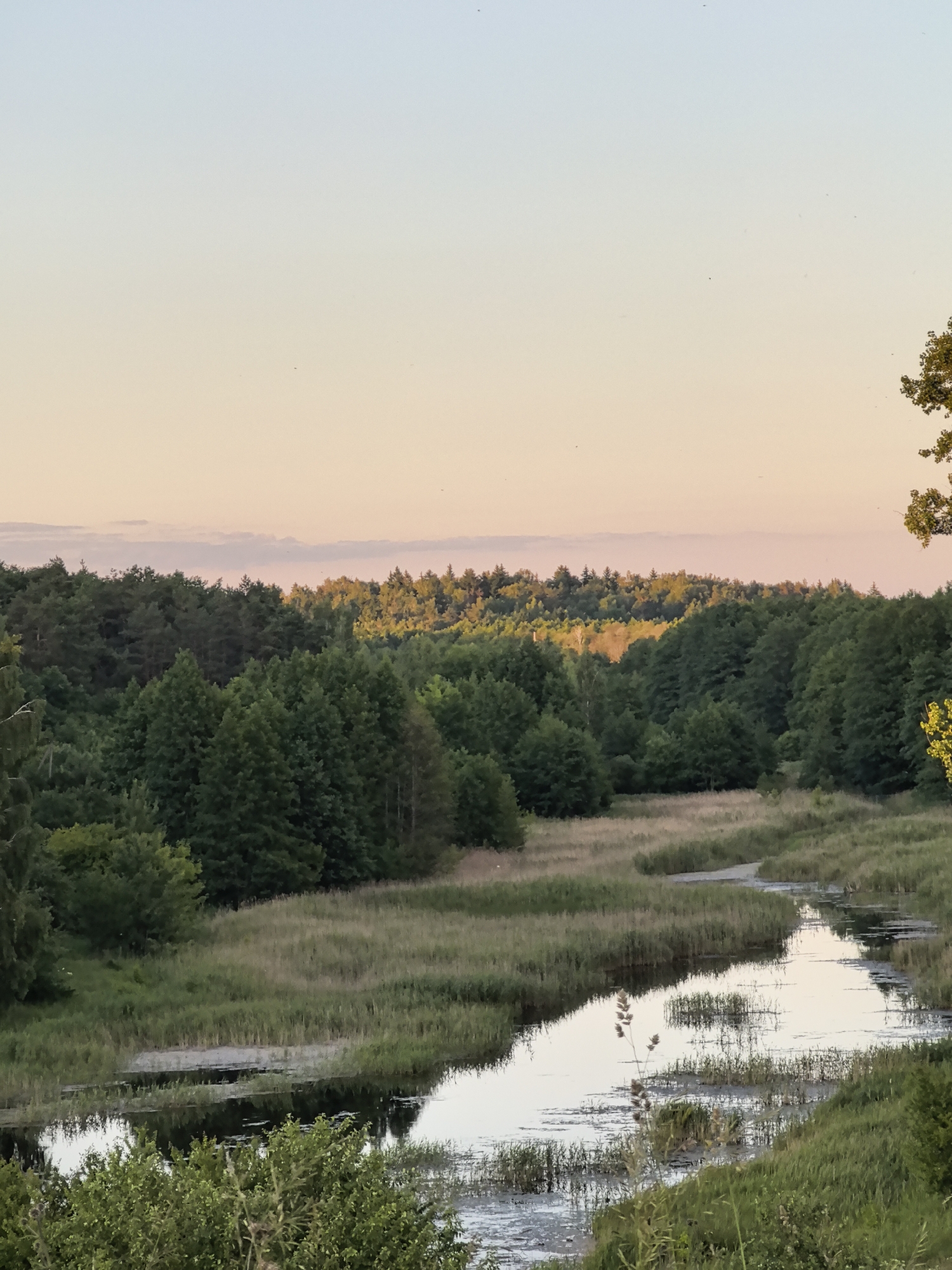 The image depicts a tranquil natural landscape at dusk. A calm river meanders through lush green fields and dense forests. The sky transitions from a pale blue at the top to a soft peach hue near the horizon, with wispy clouds visible. The trees are a mix of dark green evergreens and lighter green deciduous trees, with some of the trees on the horizon illuminated by the setting sun. The water reflects the muted colors of the sky and the surrounding vegetation. The overall impression is one of serenity and natural beauty. The location is identified as Unknown, Unknown.