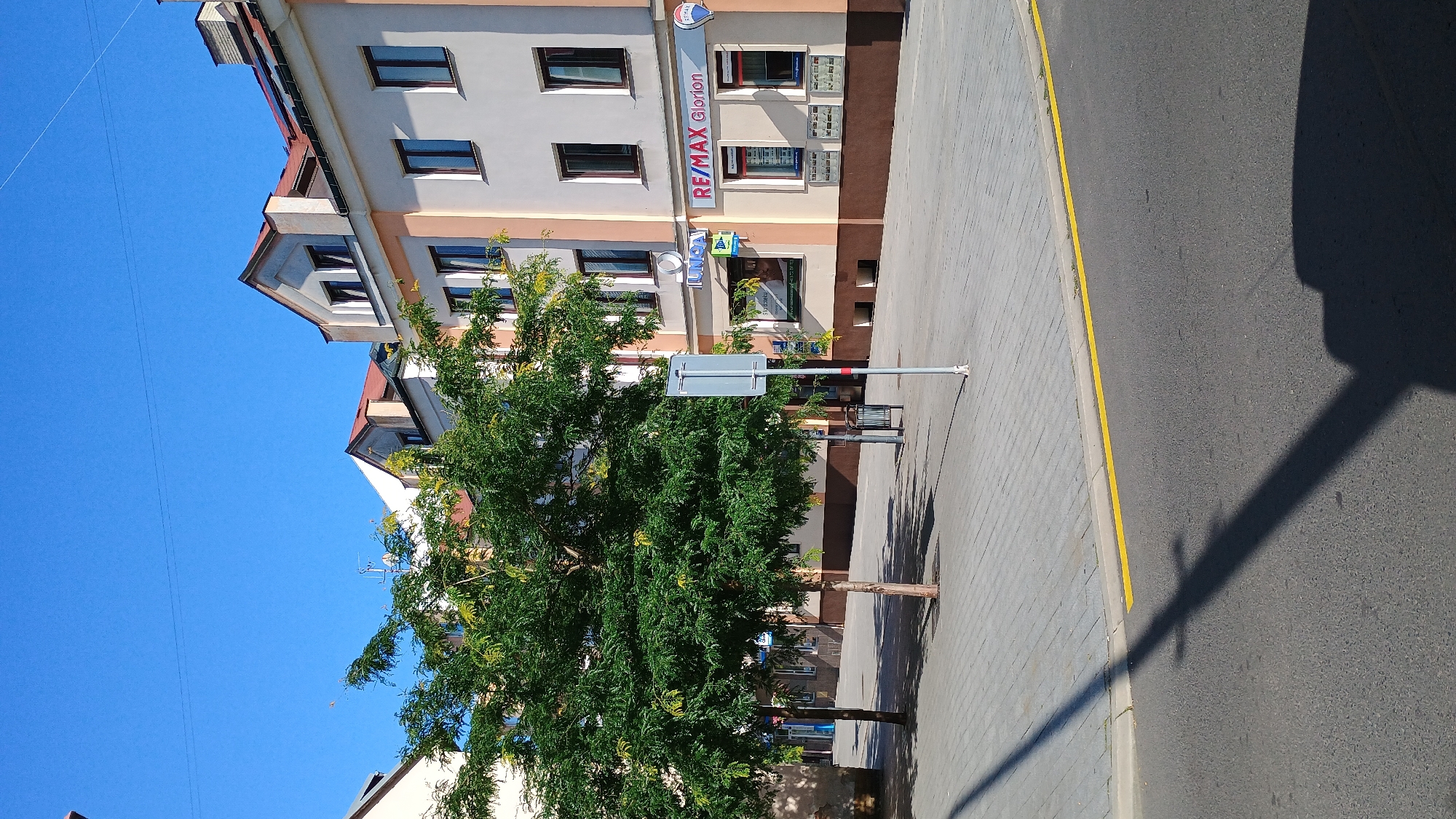 A public square in Sokolov, Czechia, is depicted under a clear blue sky. A light-colored building with multiple windows and pitched roofs lines the right side of the scene. A real estate agency, RE/MAX Glorion, is visible on the ground floor of this building, indicated by its signage. To the left, two trees with dense green foliage stand in the paved square, casting shadows on the gray, brick-patterned pavement. A lamppost, casting a long shadow across the asphalt road in the foreground, is visible on the right side of the square. The road has a distinct yellow line along its edge. The overall scene suggests a quiet, sunny day in a European city.