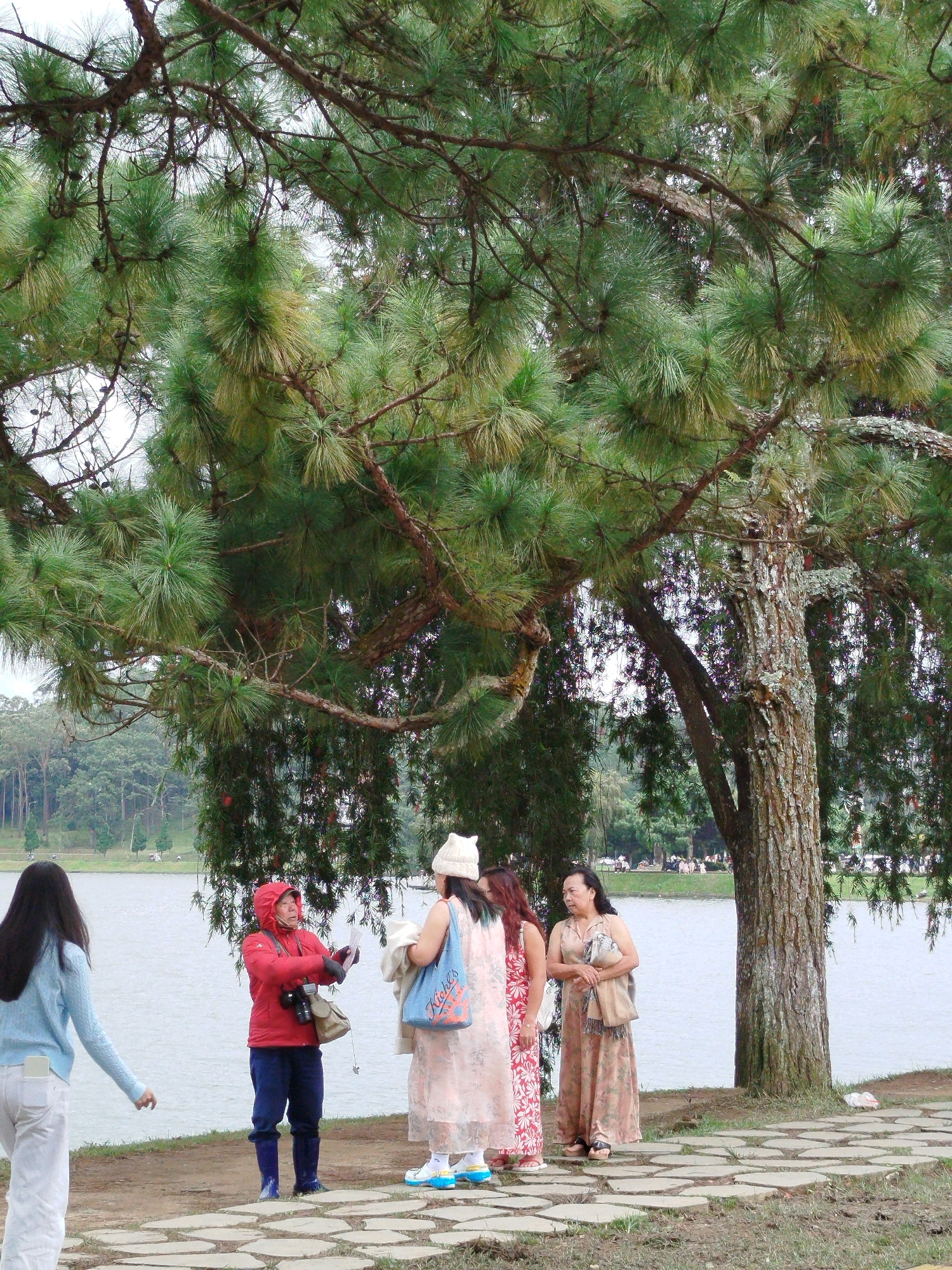 This is a medium shot of a group of people standing on a paved walkway near a large lake, beneath the branches of a pine tree. The person on the far left is a woman with long dark hair, wearing a light blue long-sleeved shirt and white pants, facing away from the camera and towards the lake. To her right is a woman in a red hooded jacket, dark blue pants, and blue boots, holding a piece of paper and a camera. Next to her is a woman in a light pink patterned dress and a white hat, holding a blue bag. The woman furthest to the right is wearing a long, flowy light pink dress and holding a light brown scarf. The background features a wide lake, a treeline with more trees in the distance, and a cloudy sky. The location is likely Xuan Huong Lake in Da Lat, Vietnam, a popular tourist spot known for its pine trees and scenic lake views.