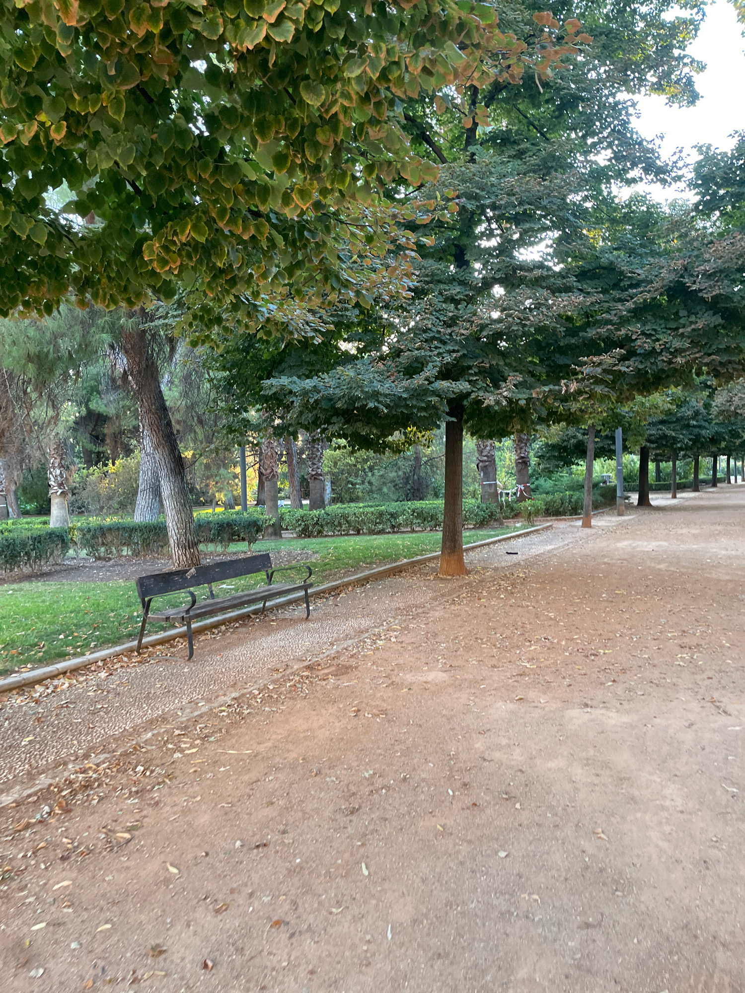 The image depicts a park pathway in Granada, Spain, likely within the Generalife gardens or a similar public space. The pathway, made of light-colored gravel and dirt, stretches into the distance, lined by manicured hedges and a row of trees. A dark-colored wooden bench with metal legs is situated on the left side of the pathway, next to a grassy area scattered with fallen leaves. The trees are full of green leaves, some showing hints of autumn colors, with sunlight filtering through the branches. The overall scene suggests a tranquil, outdoor environment.