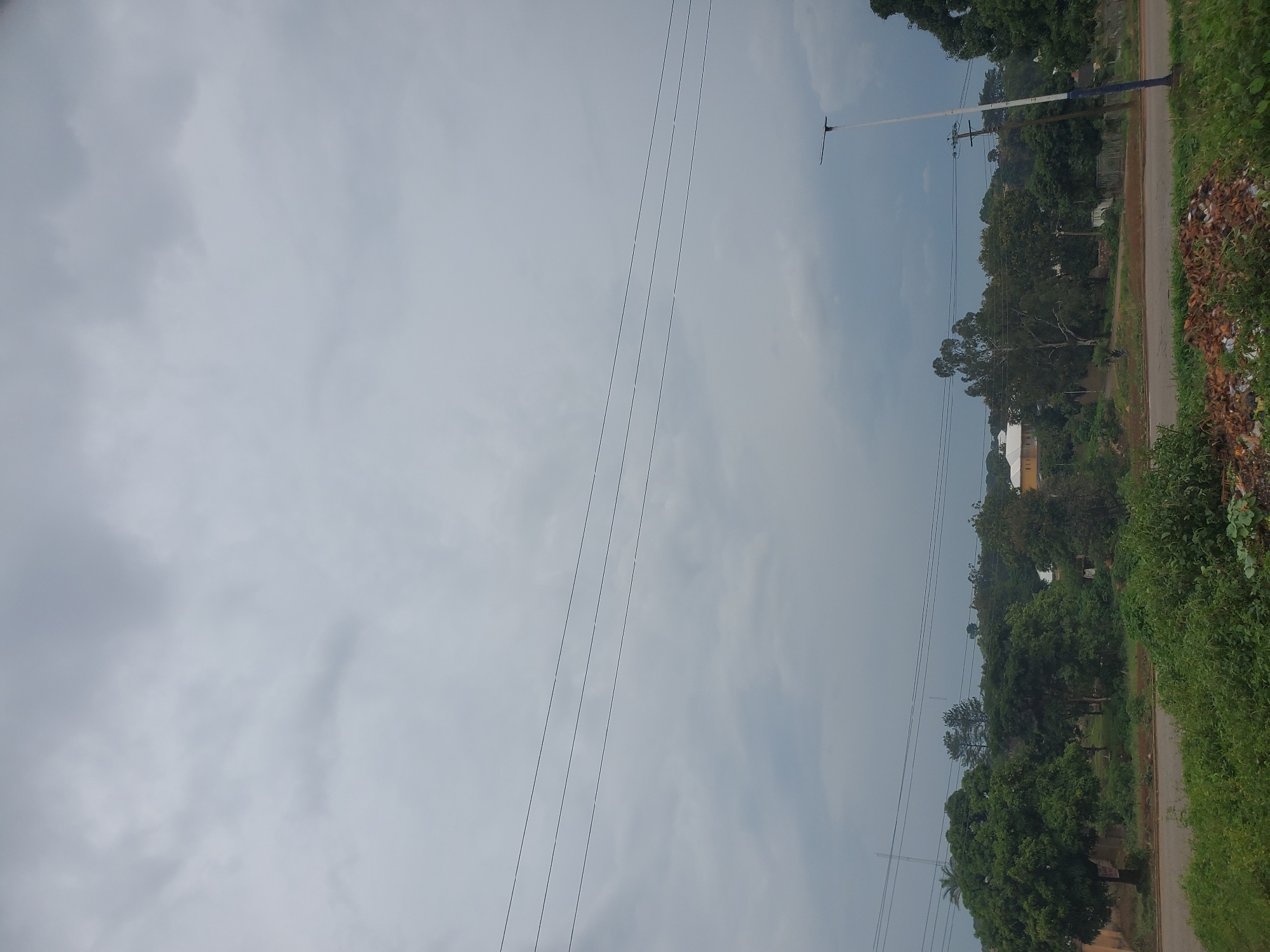 This image captures a scene likely in Jos, Nigeria, under an overcast sky. In the foreground, overgrown green vegetation and some accumulated debris are visible along the side of a road. The road itself appears to be paved and extends into the distance. Beyond the road, a line of trees forms a dense green canopy, with some taller trees interspersed among them. Several structures are partially visible behind the trees, including buildings with light-colored roofs. In the background, rolling hills are covered in vegetation. Several power lines crisscross the sky, supported by poles. A tall, modern street lamp with a solar panel is prominently featured on the right side of the image. No people or animals are apparent in the scene. The overall impression is of a somewhat unkempt, semi-urban or suburban environment.