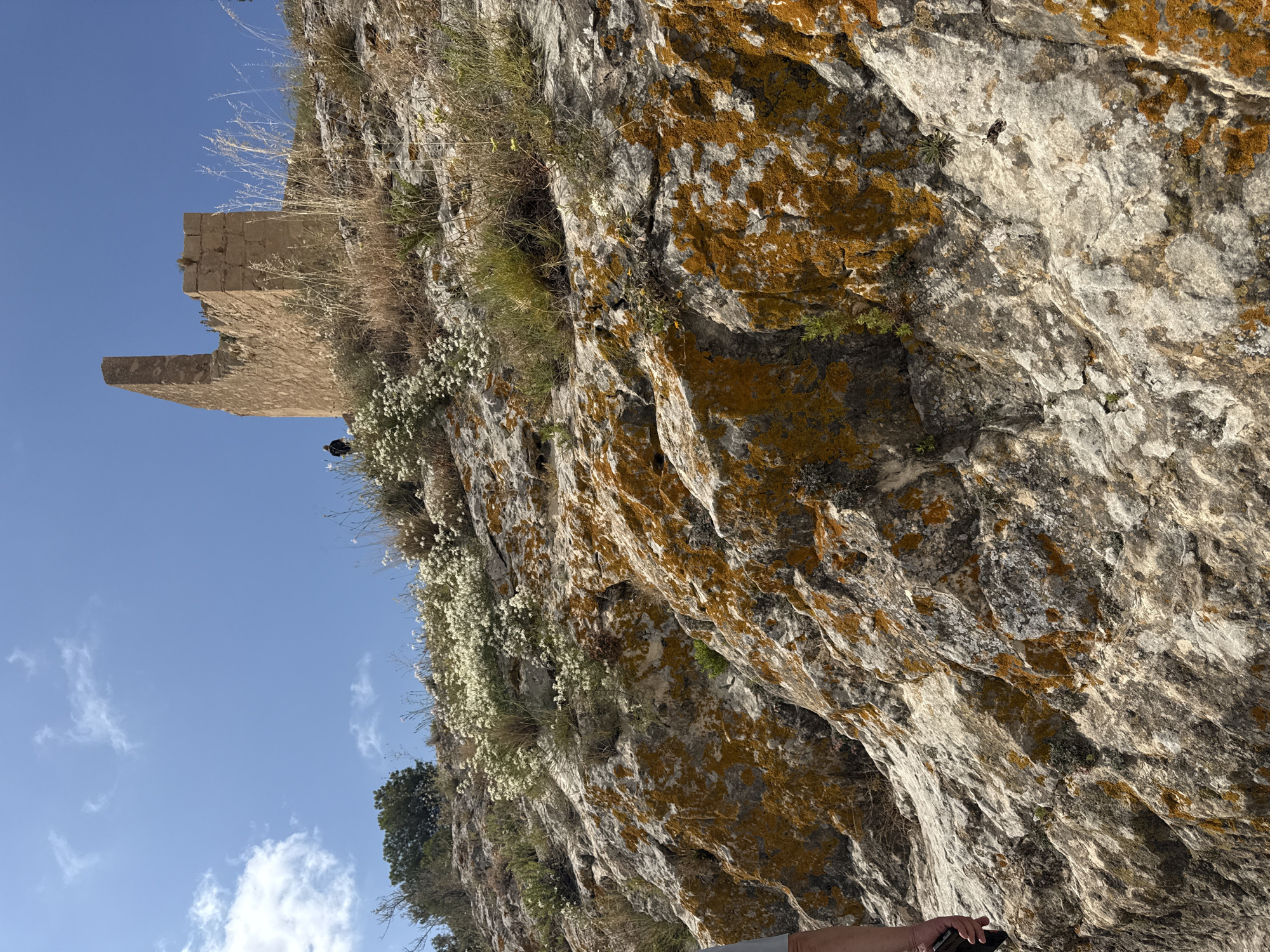 A weathered stone ruin stands on a rocky, overgrown hillside under a clear blue sky. The ruin, made of tan stone blocks, has a tall, jagged section resembling a broken wall or tower. Patches of orange lichen and moss cling to the rocks in the foreground, interspersed with dry grasses and small white wildflowers. A person, seen from the back and appearing small in the distance, walks on the hillside near the ruin. Another person's arm and hand are visible in the lower left corner of the frame, holding a dark object. The terrain is rugged and uneven, with scattered vegetation.